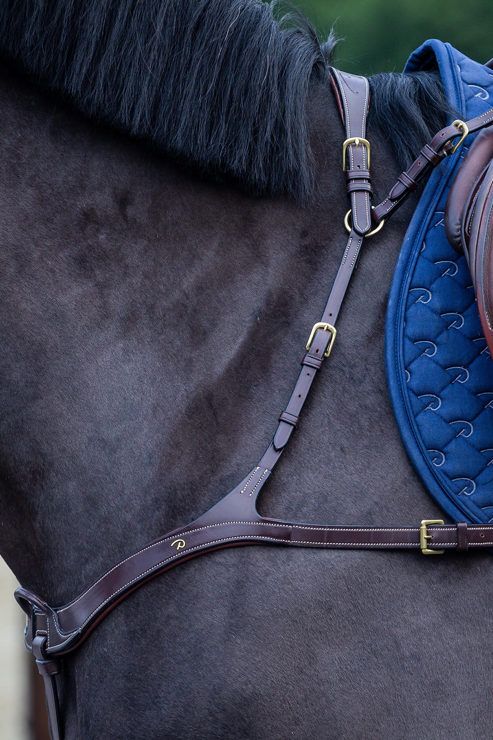 Dy'on D Collection Anatomical Breastplate