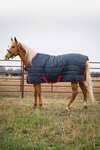 Horseware Mio Insulator Stable Rug, 150g