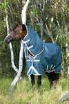 Horseware Amigo AmEco 12 Plus Turnout Rug With Detachable Neck, 0 g
