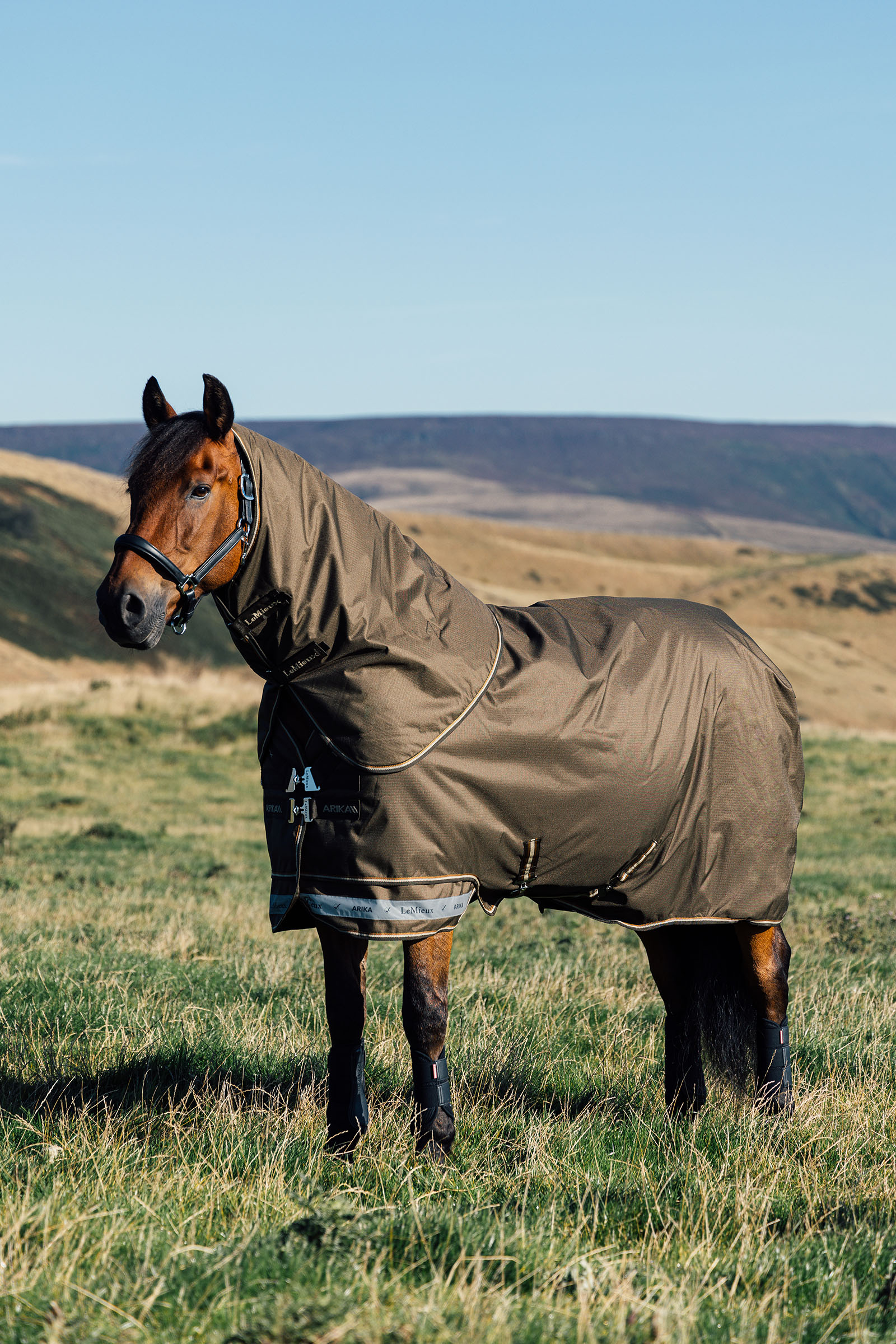 LeMieux Arika Ripstop Turnout Rug 50g