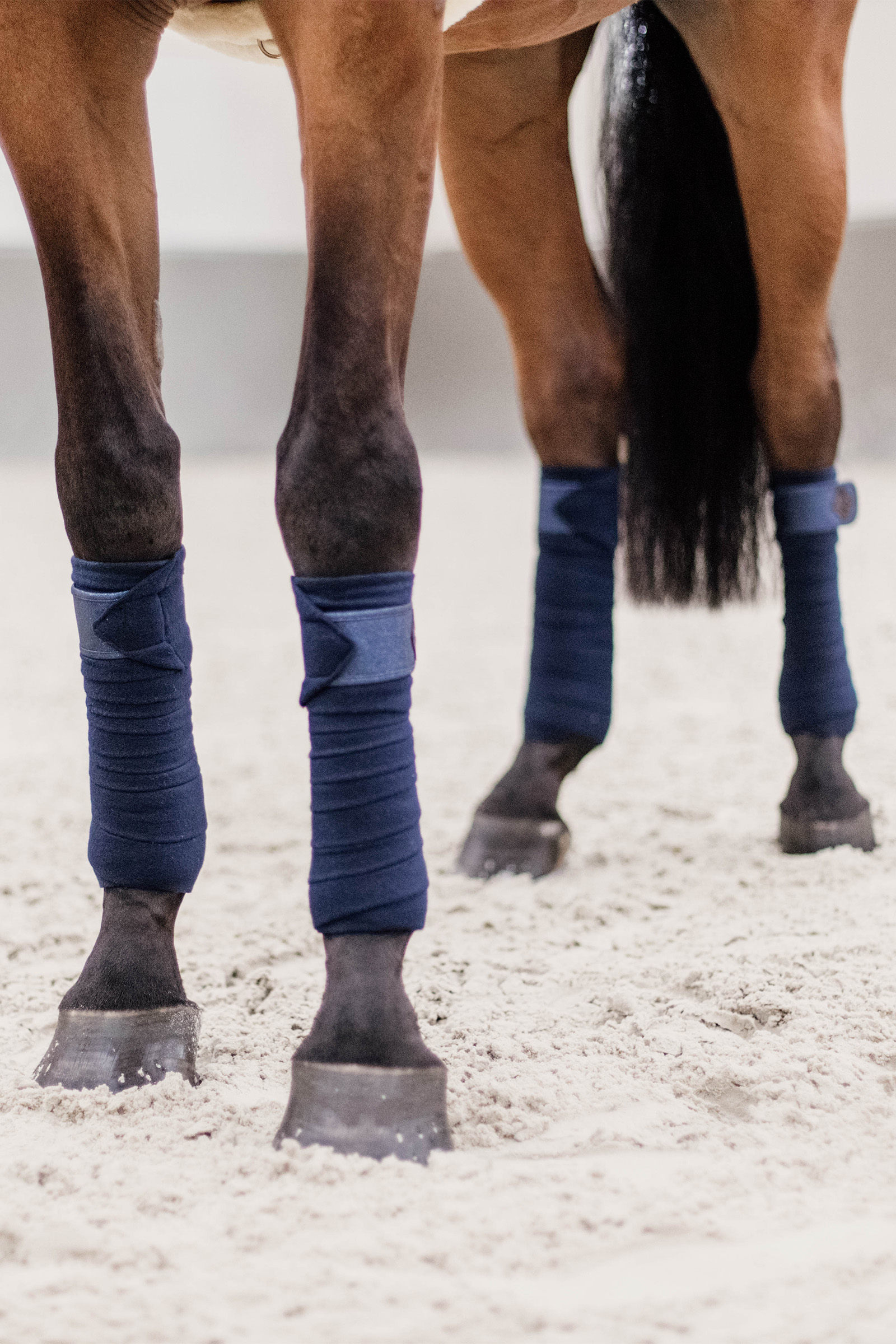 Kentucky Horsewear Glitter Polar Fleece Polos