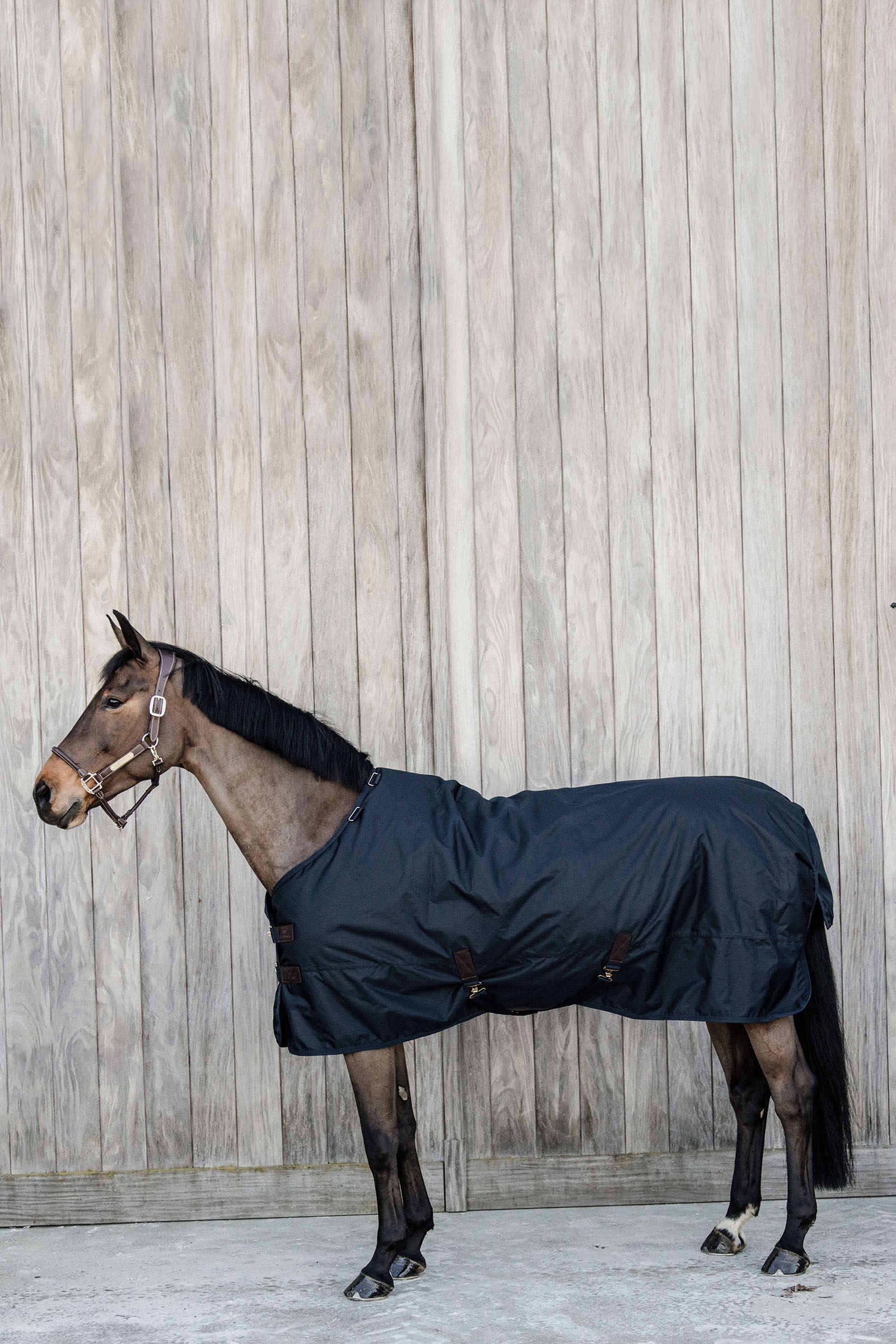 Kentucky Horsewear Turnout Rug All Weather Waterproof Classic, 150g