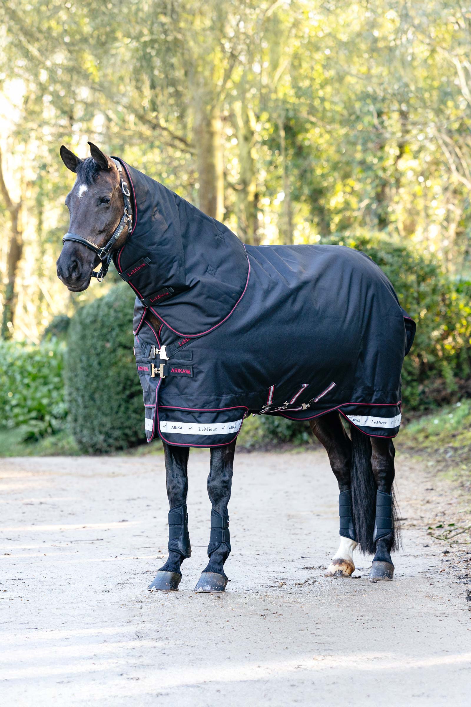 LeMieux Arika Storm-Tek Turnout Rug With Detachable Neck, 100 g