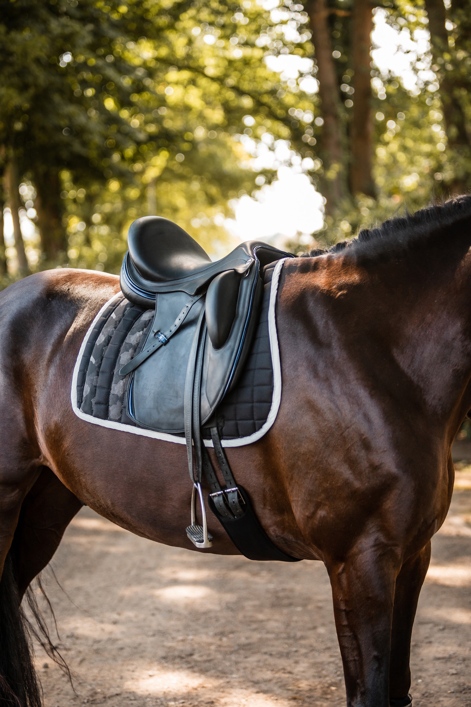 Horze Luminox Reflective Saddle Pad