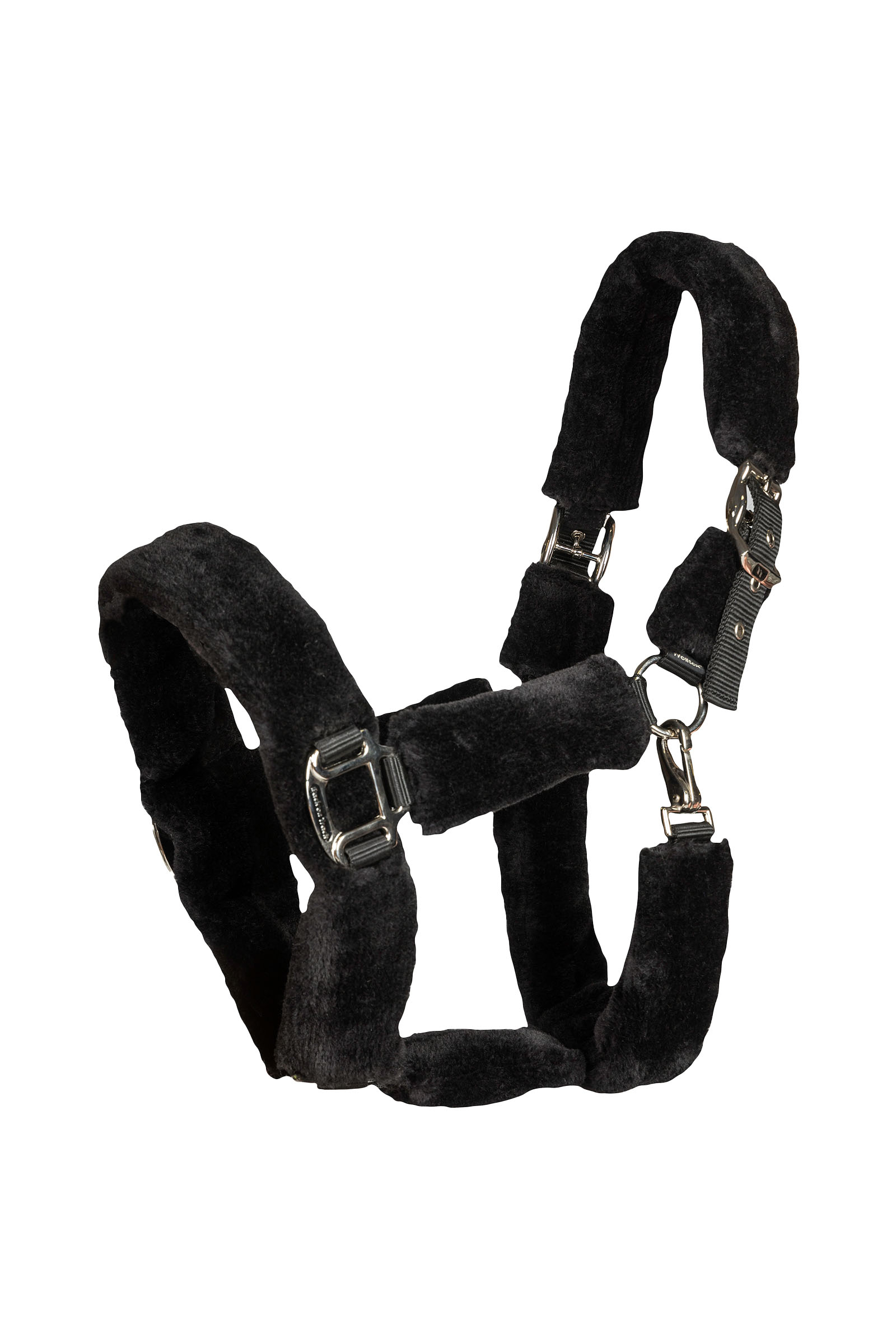 Back on Track Audrey Halter