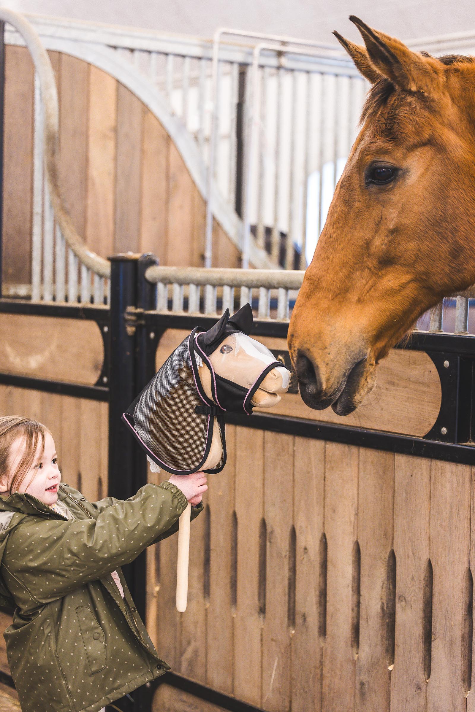 My Hobby Horse Insect Fly Mask