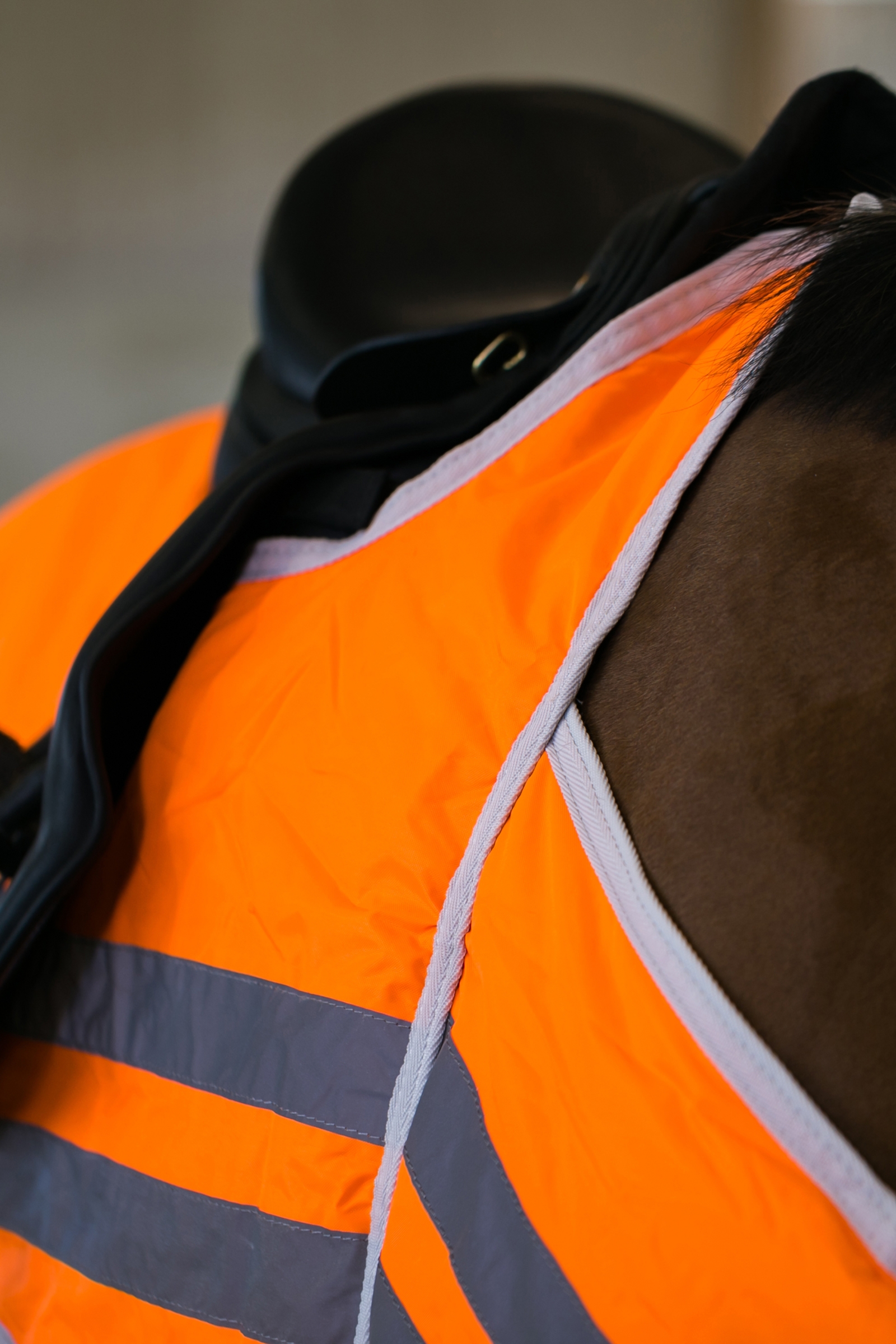 bZeen Reflective Riding Rug