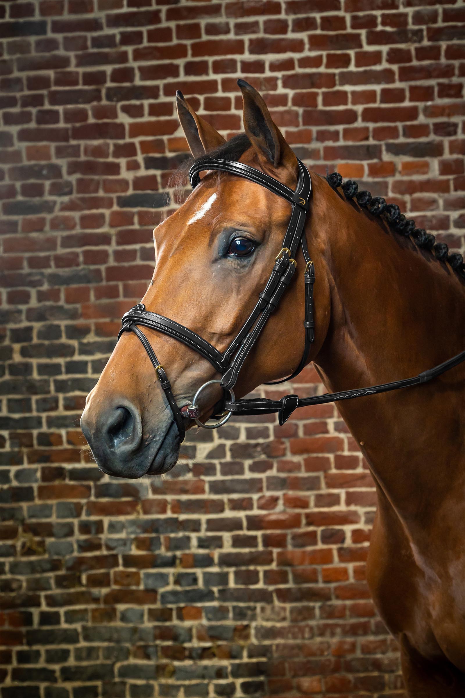 Dy'on D Collection Bridle With Flash Noseband