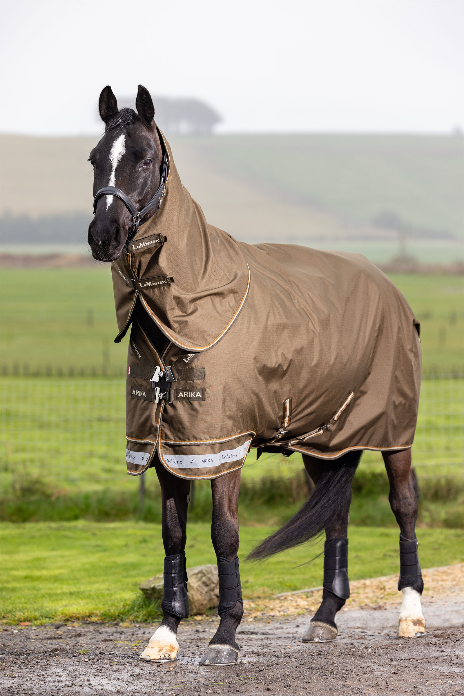LeMieux Arika Ripstop Turnout Rug With Detachable Neck, 50g