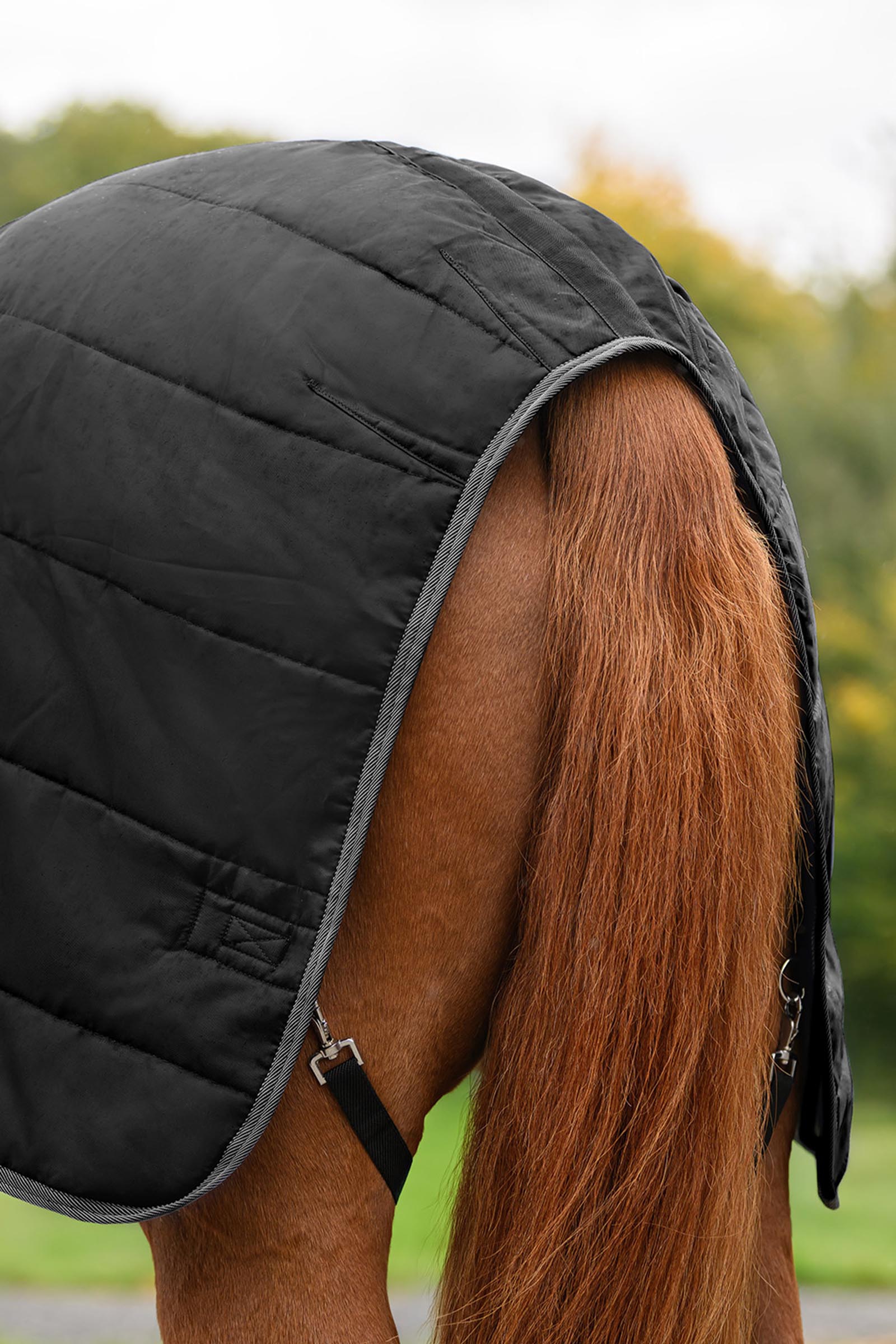 Waldhausen ECONOMIC Stable Rug, 100g