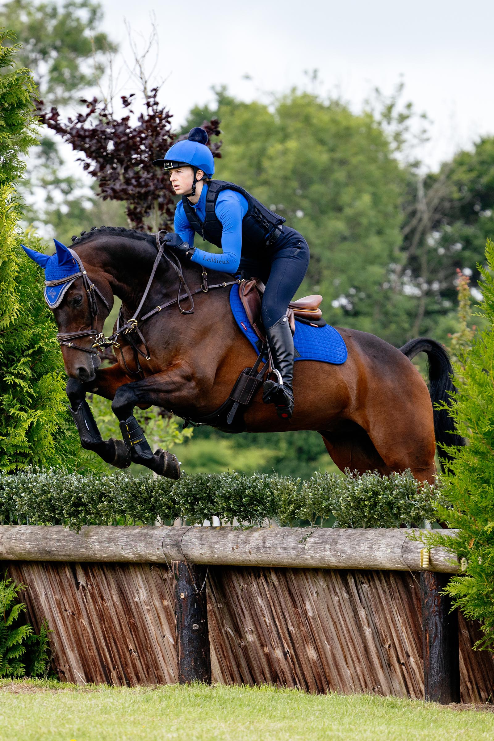 Lemieux Suede Close Contact Square Saddle Pad