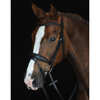 Collegiate Mono Crown Padded Raised Flash Bridle