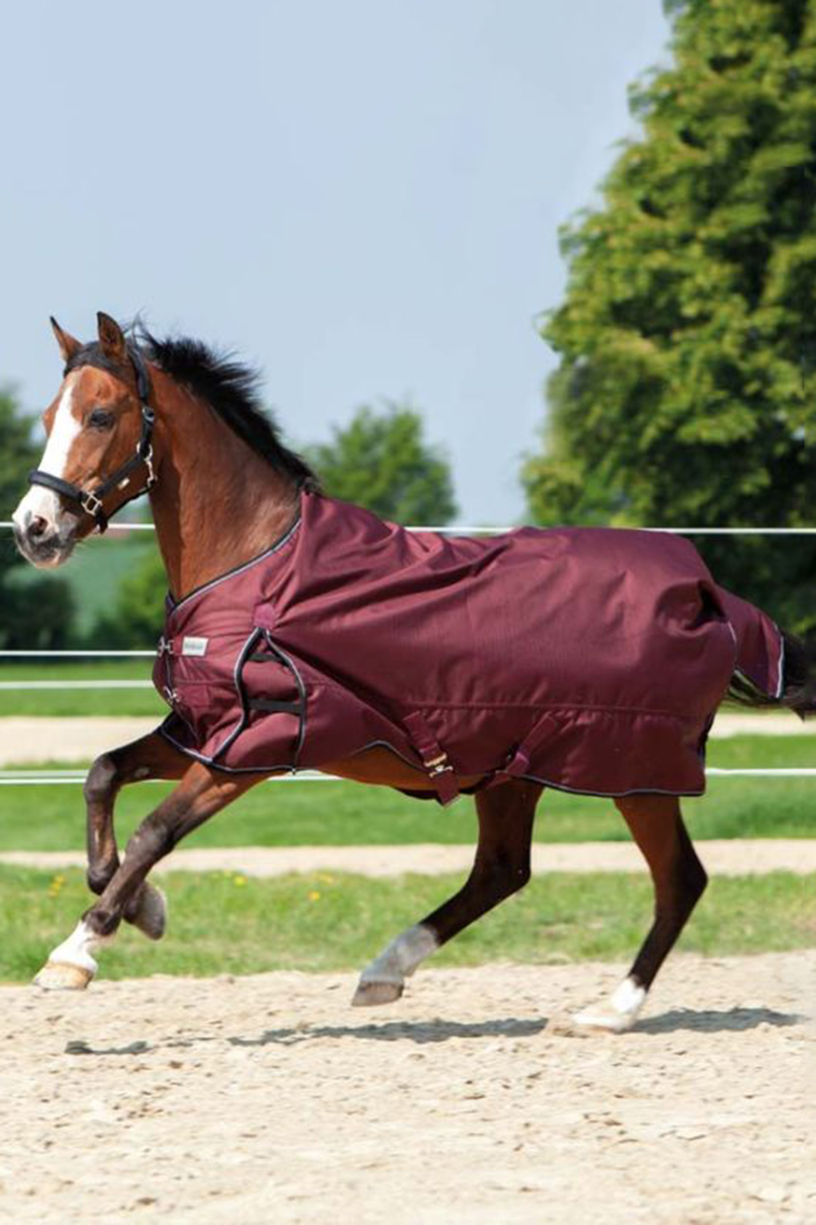 Dark Red Kavalkade Alaska IV Turnout Rug, 300 g