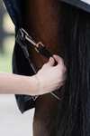 Horseware Elasticated Leg Straps