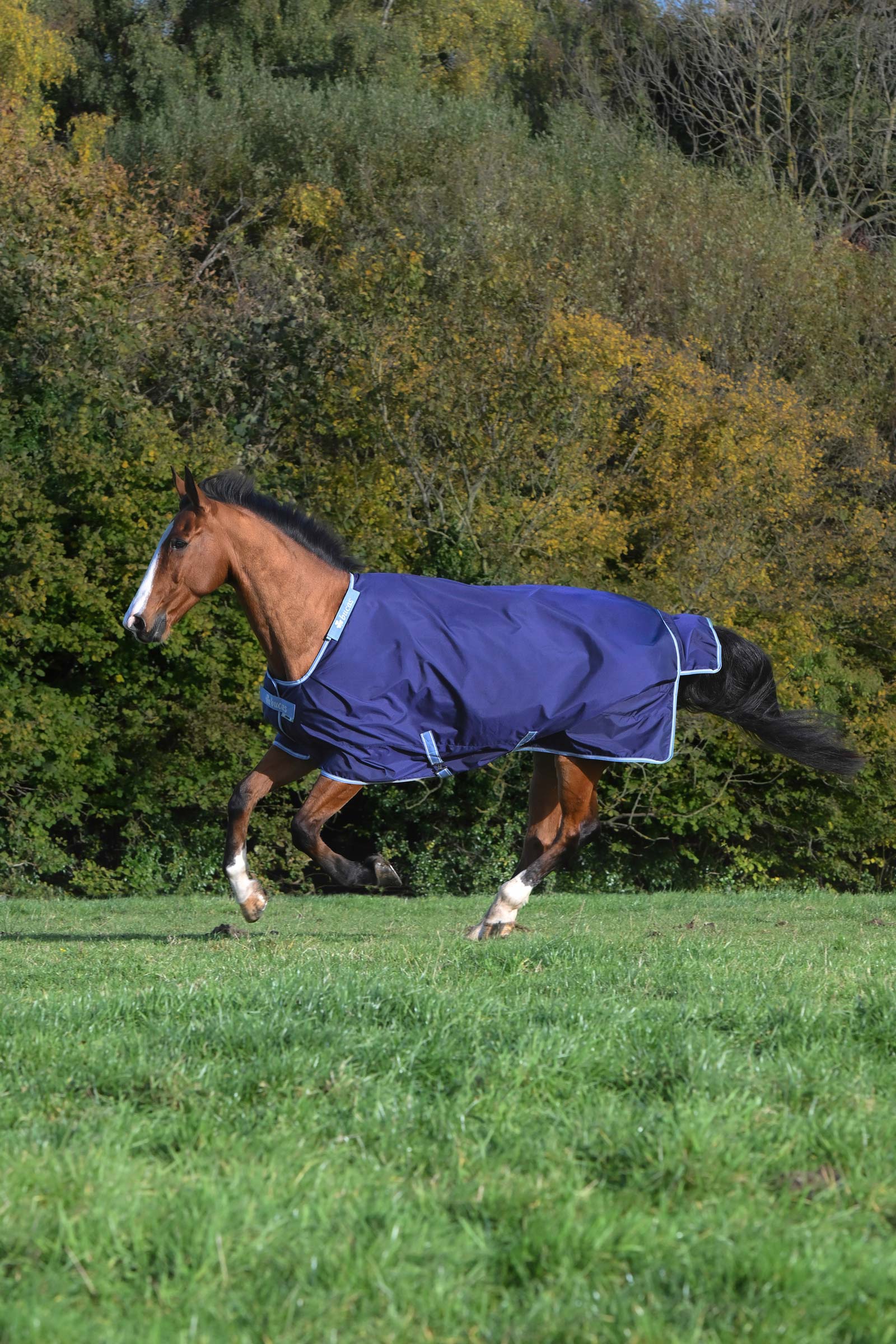 Bucas Atlantic Exclusive Rug & Neck Set, 0 g