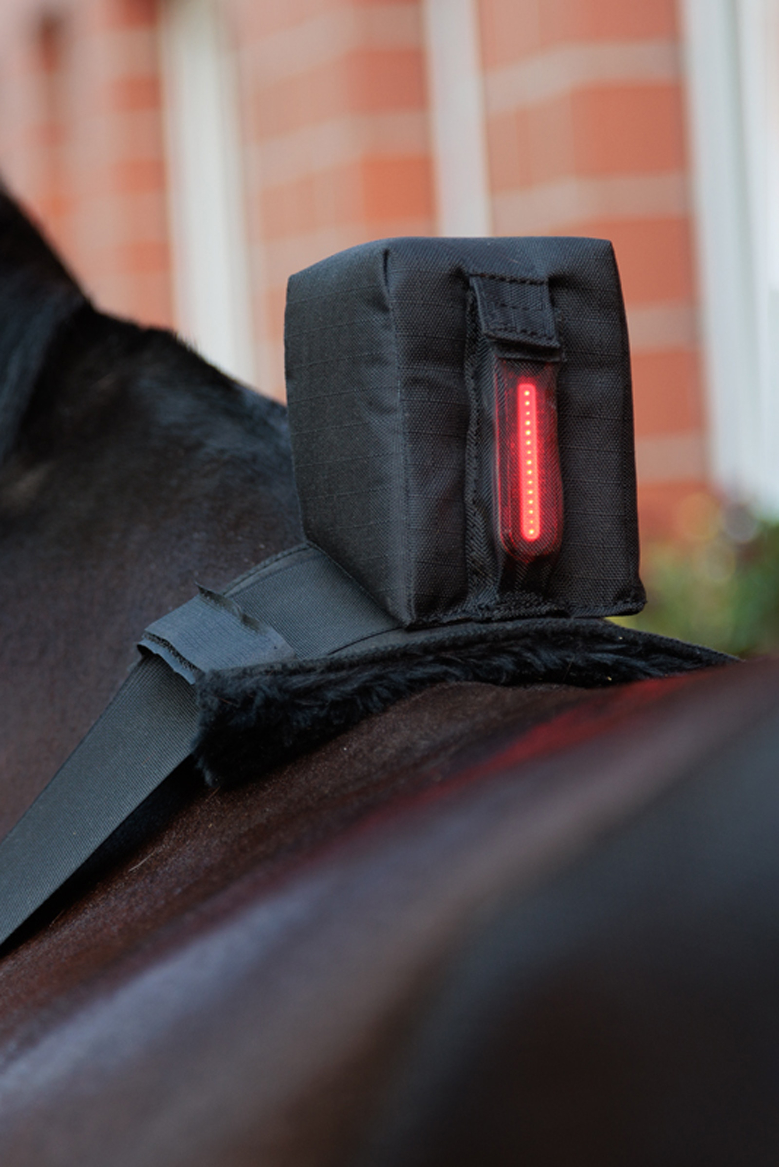 Kavalkade Horselight Belly Surcingle With Red Rear Light