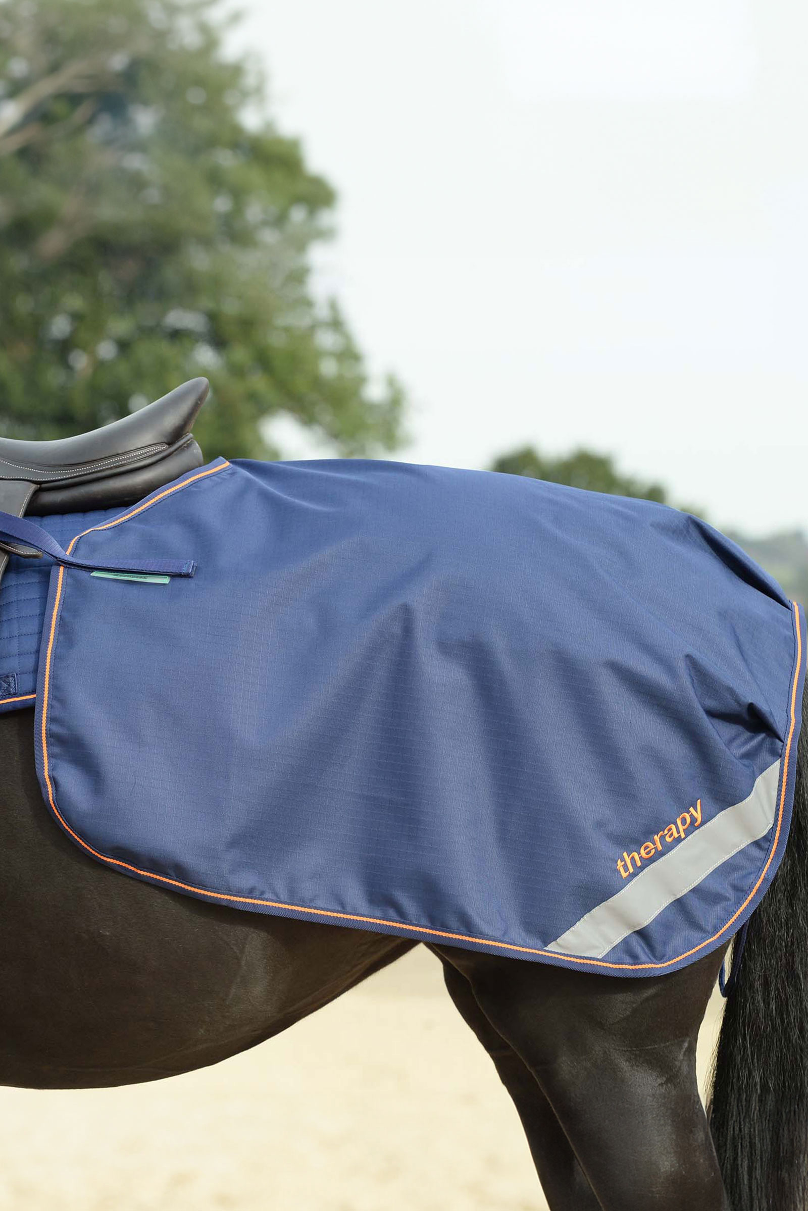 Bucas Therapy Quarter Sheet