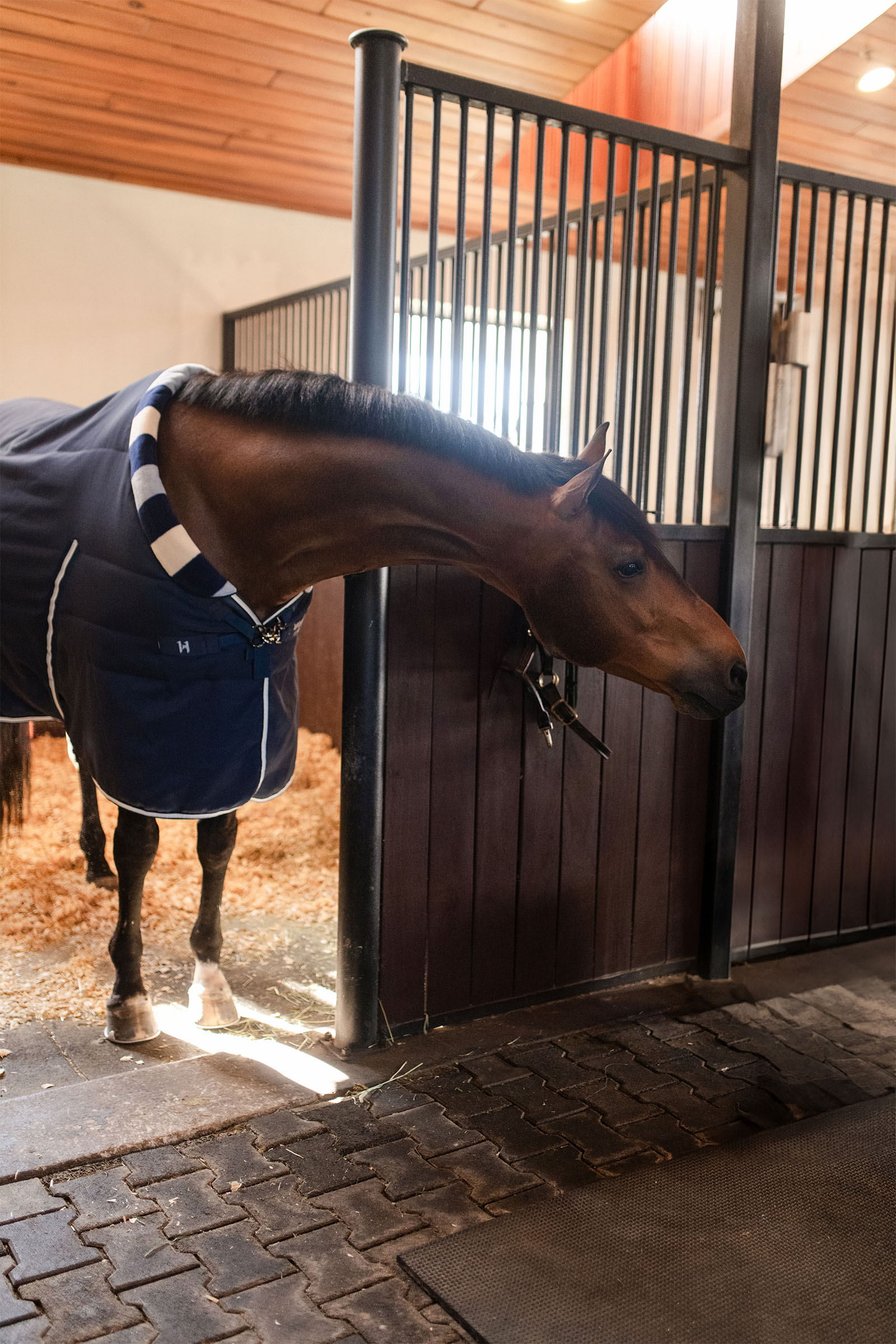 Horseware Newmarket Cosy Stable 100g