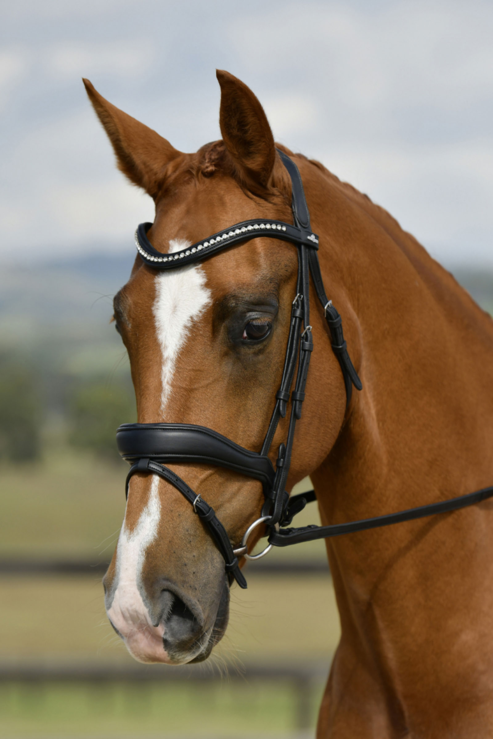 Collegiate Comfitec Opulux Padded Dressage Bridle