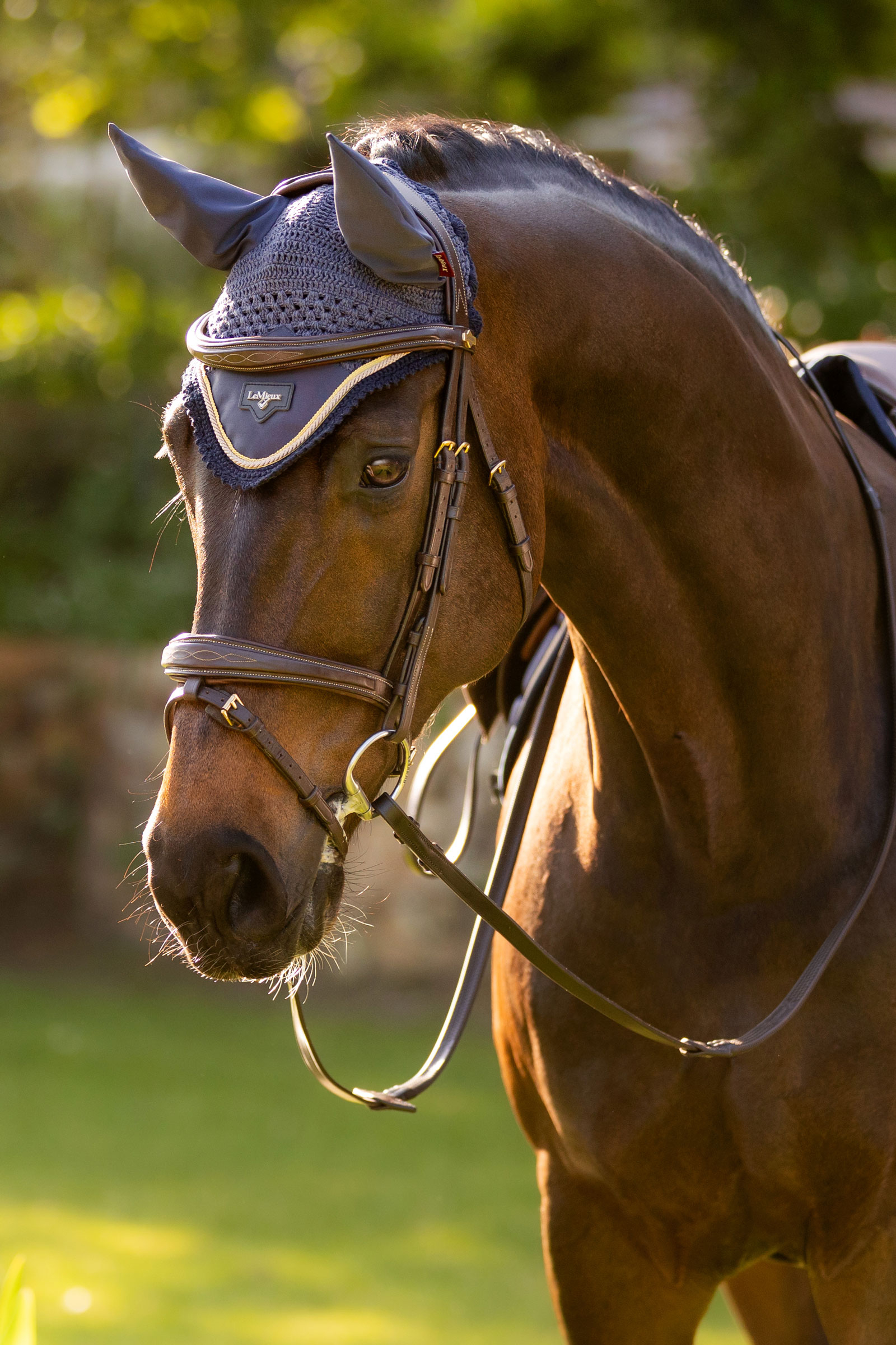 LeMieux Loire Fly Hood