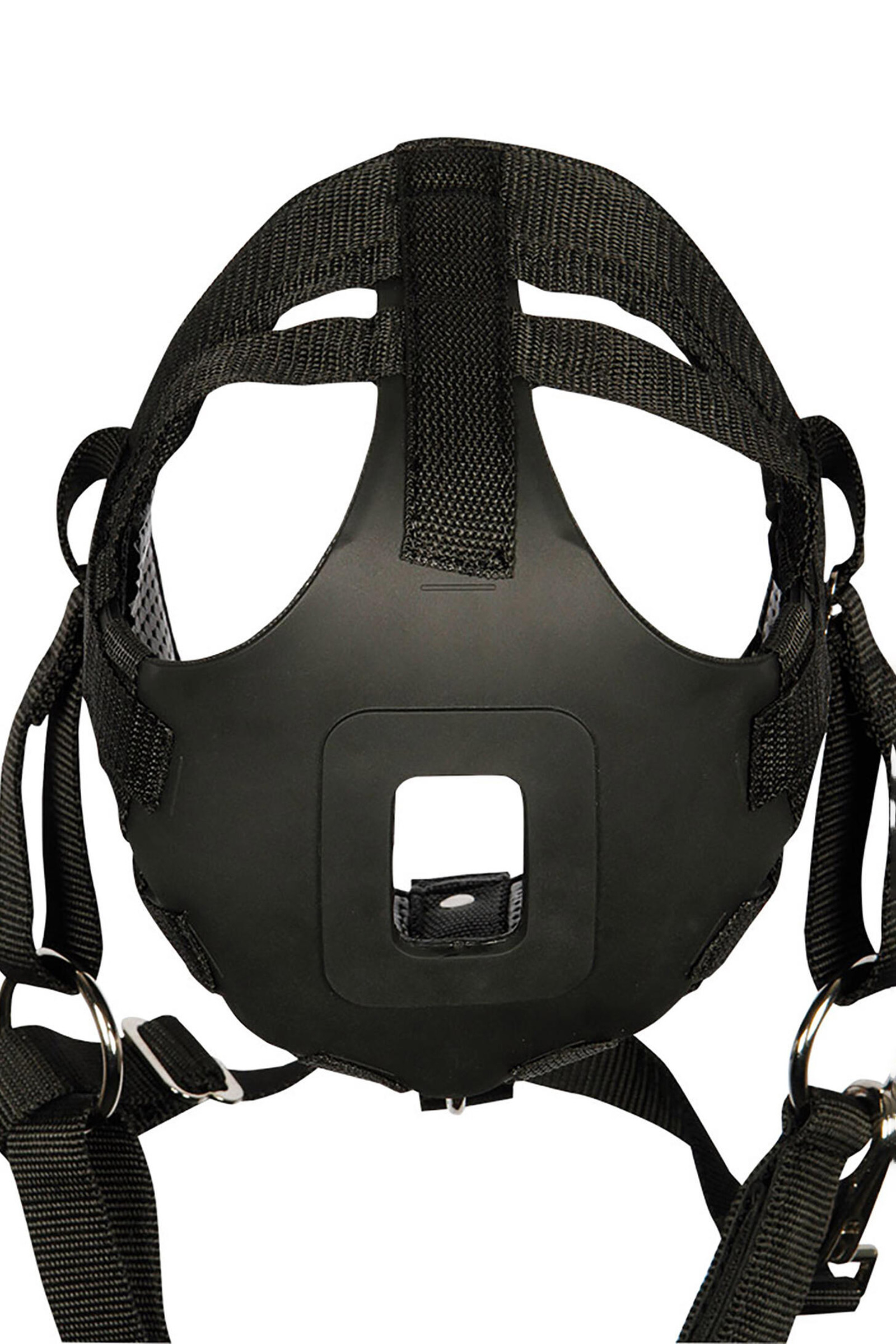 Harry's Horse Grazing muzzle Air