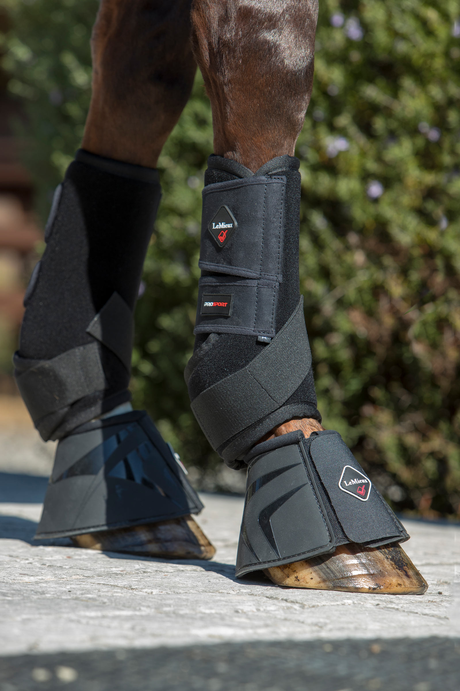 LeMieux Ultra Support Boots