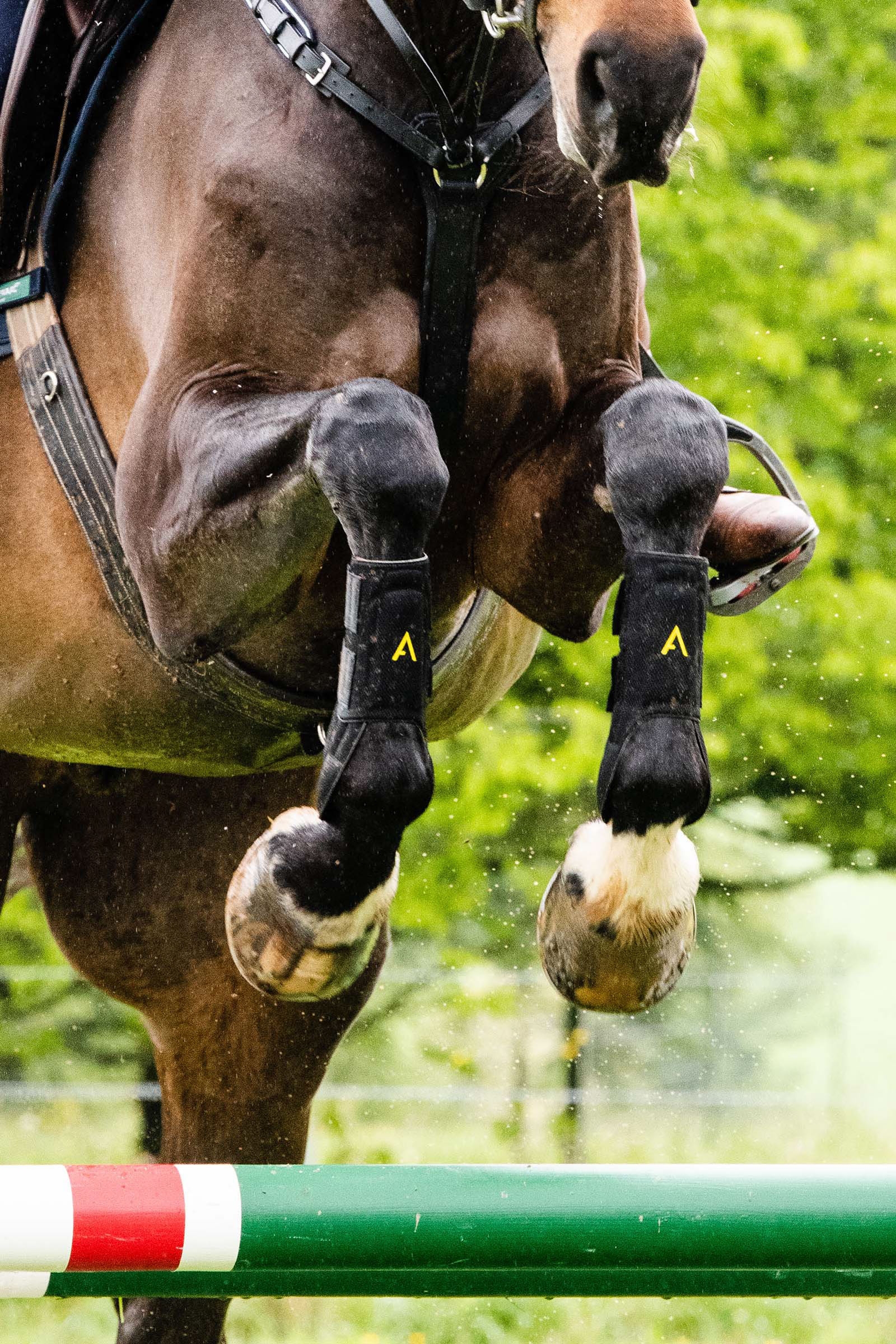 Horseware Adagio Boot