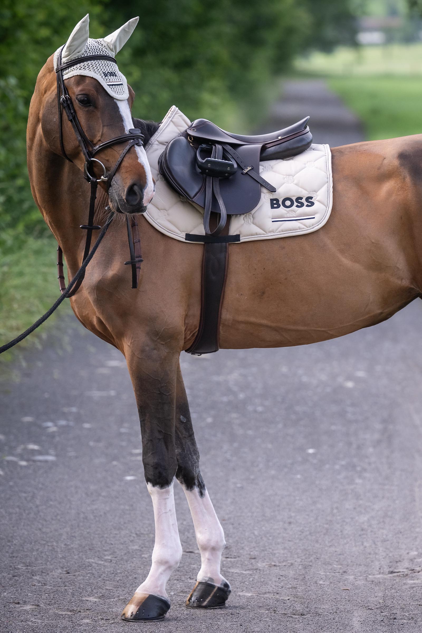 Boss Cheltenham Jump Saddle Pad