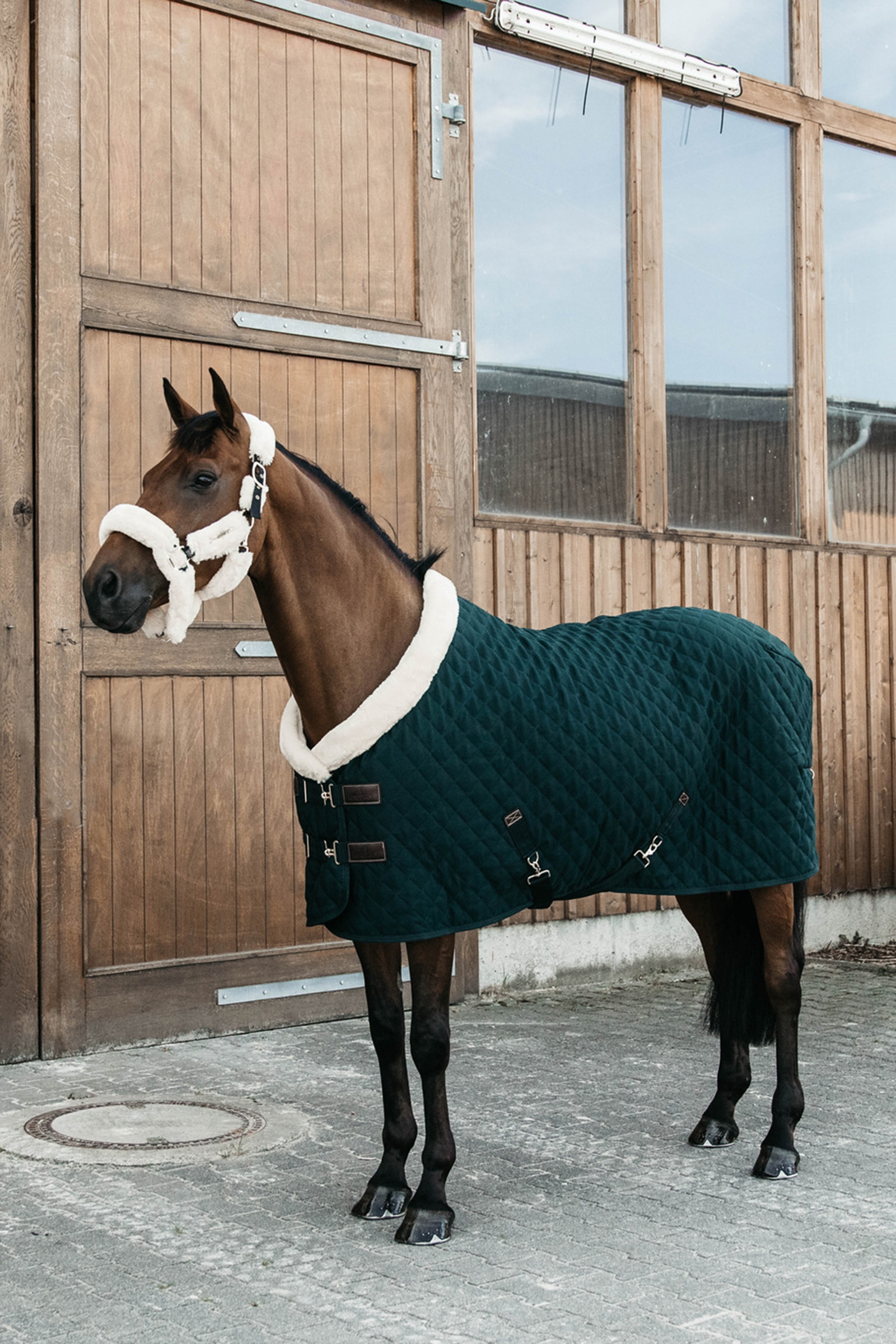 Dark Green Kentucky Horsewear Show rug 160g