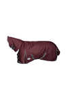 Weatherbeeta Comfitec Plus Dynamic II Turnout Rug With Fixed Neck, 100g