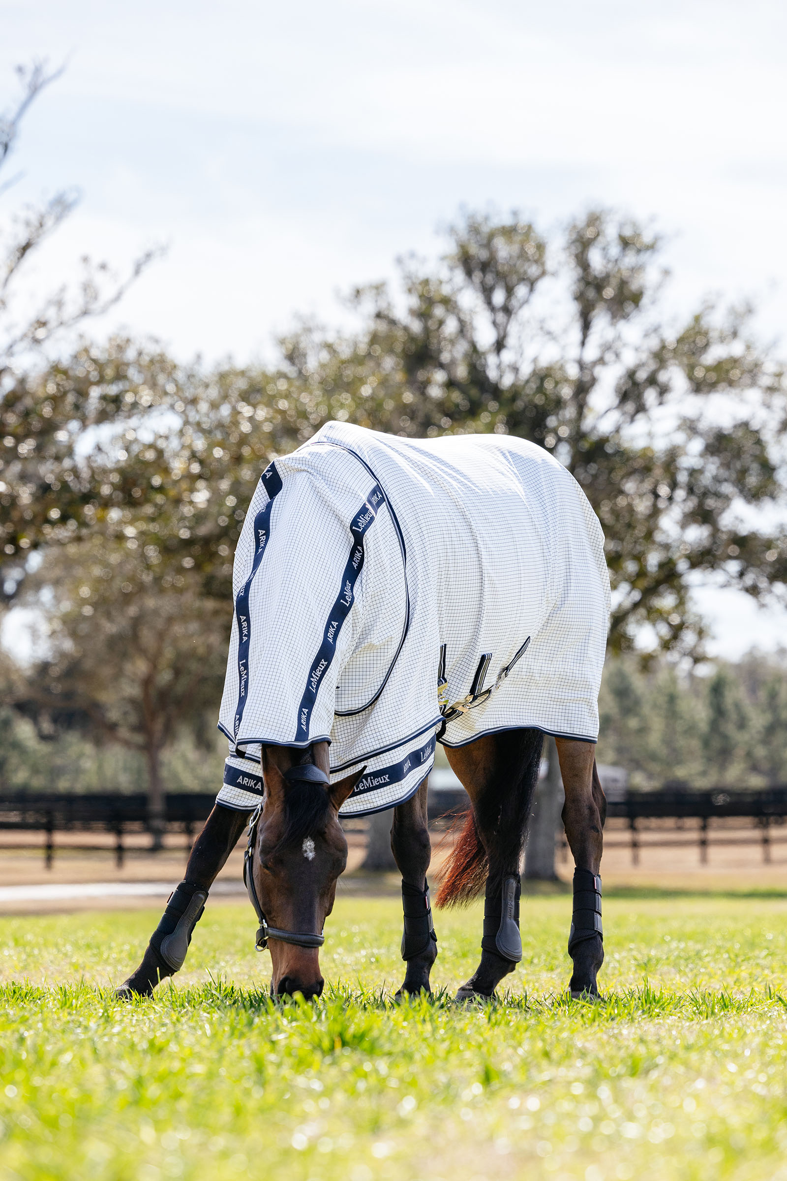 LeMieux Arika 450D Turnout Rug With Detachable Neck, 0g