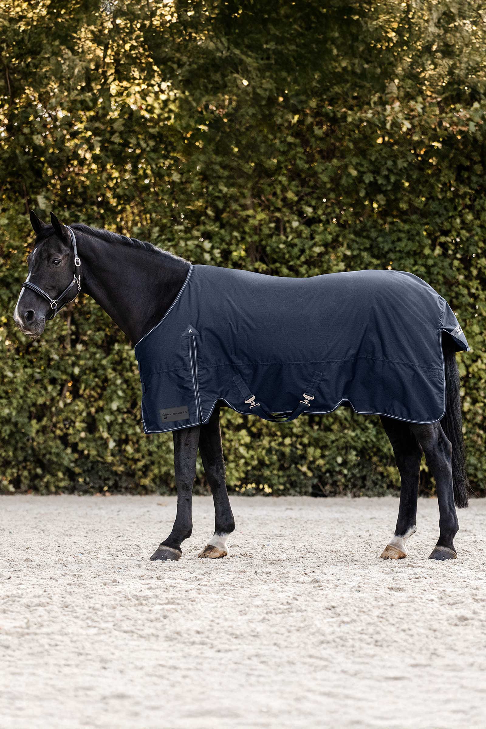 nightblue Waldhausen Arctic Turnout Rug, 200 g