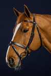Dy'on Working Flat Leather Bridle With Snap Hooks 