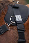 Kavalkade Foalmaster Foal Harness With Handle