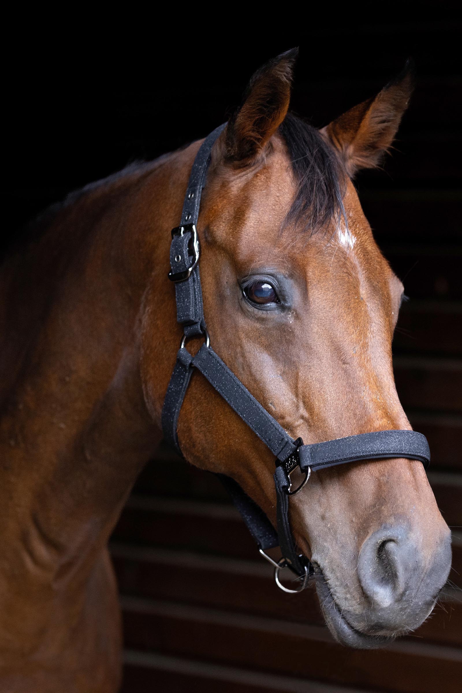 USG Onyx Softly Padded Halter