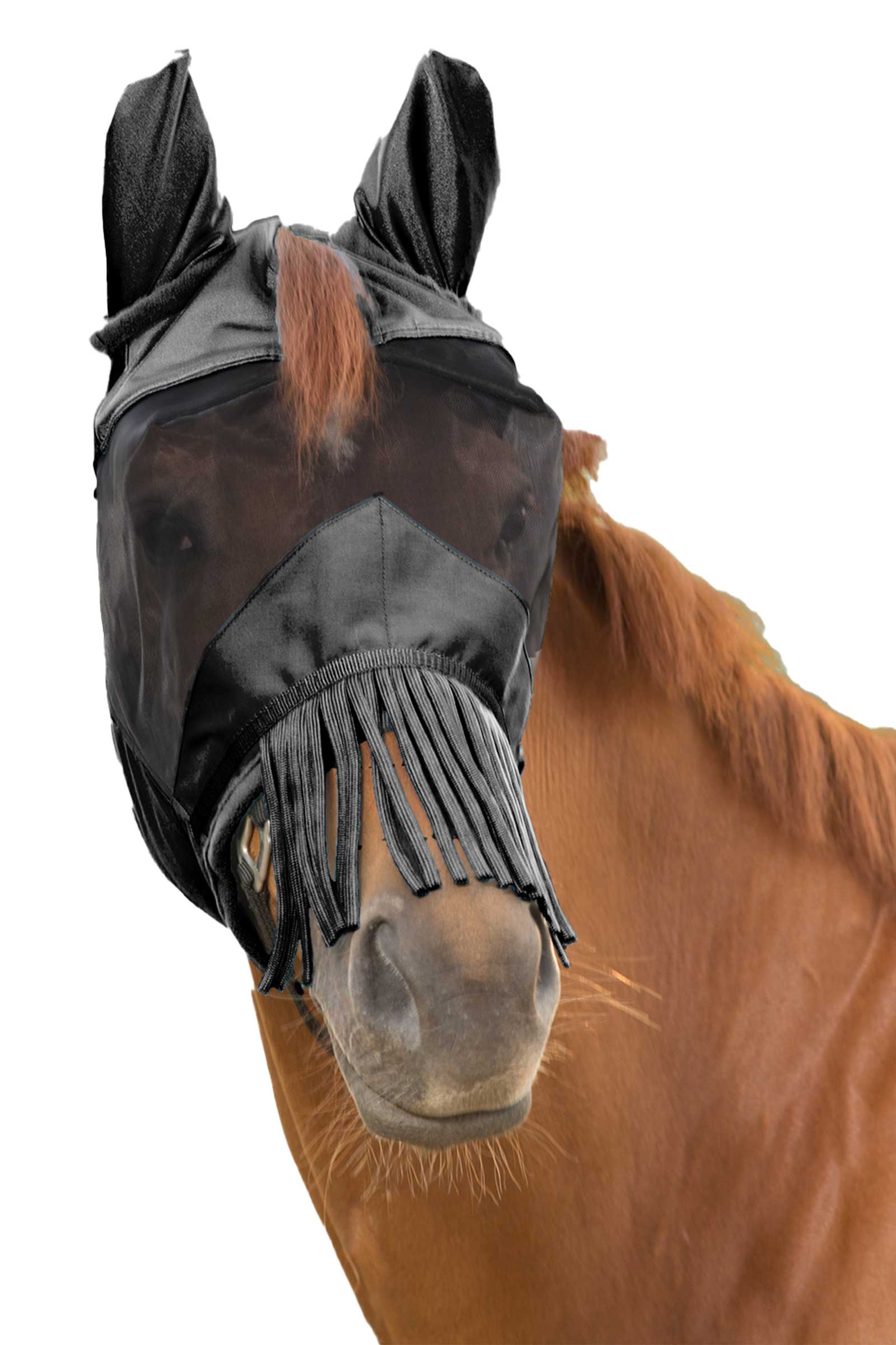 Black Waldhausen Fly Mask With Ears and Nose Fringes
