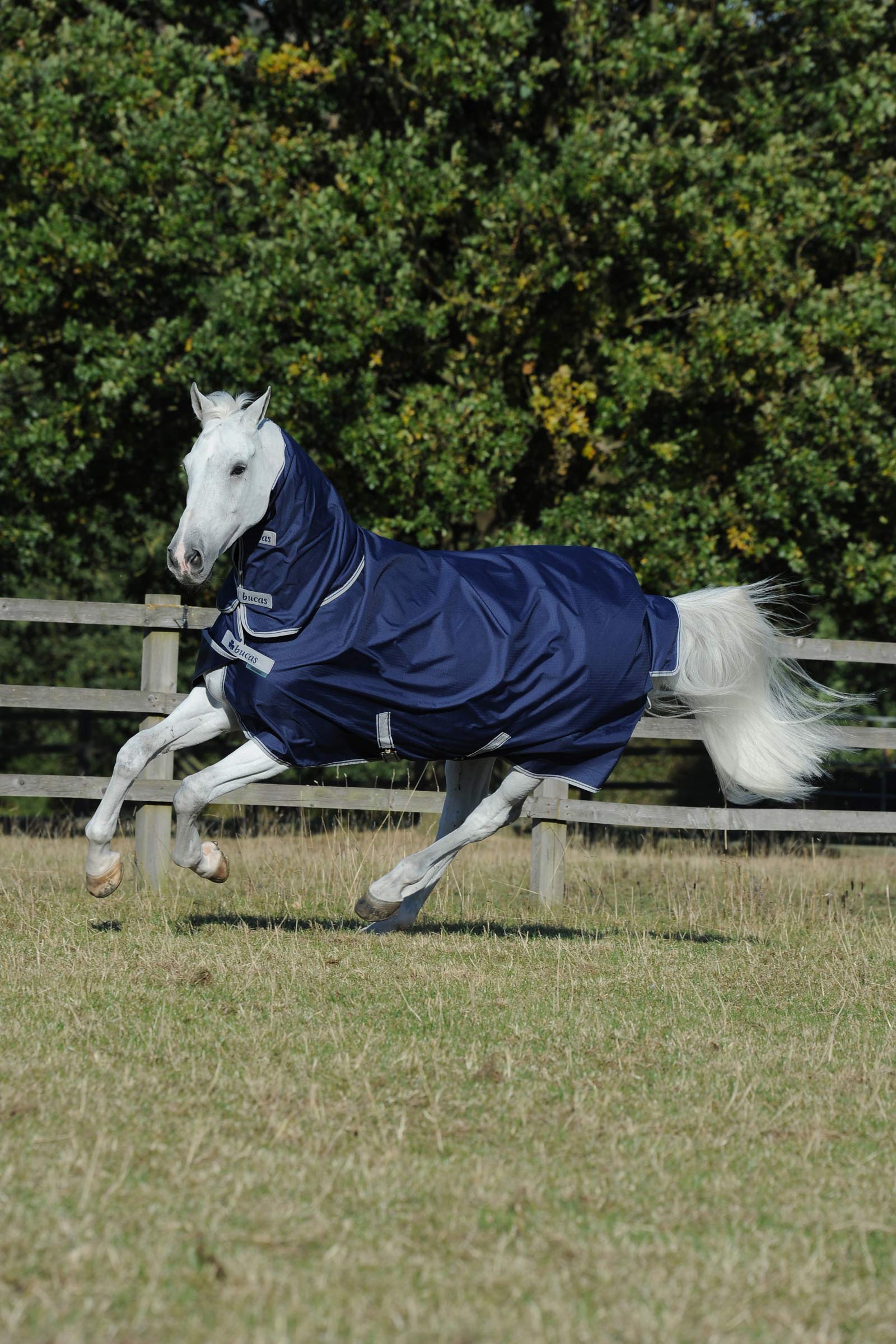 Bucas Freedom Light Turnout Rug with fixed Full Neck, 0g
