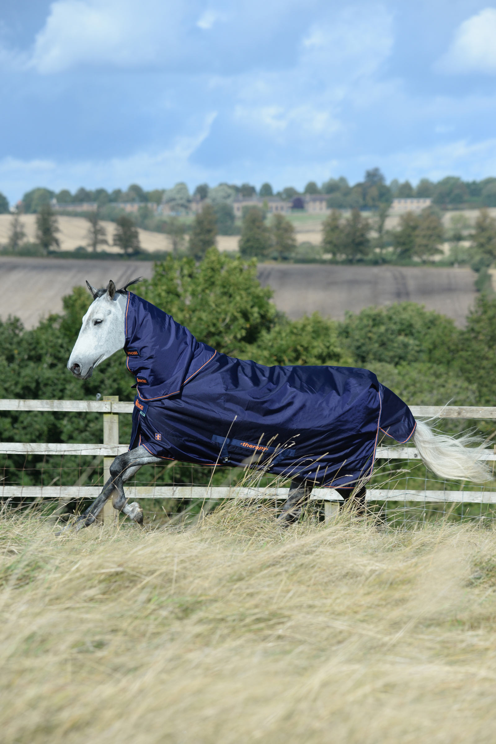 Bucas Therapy Turnout Rug, 150g