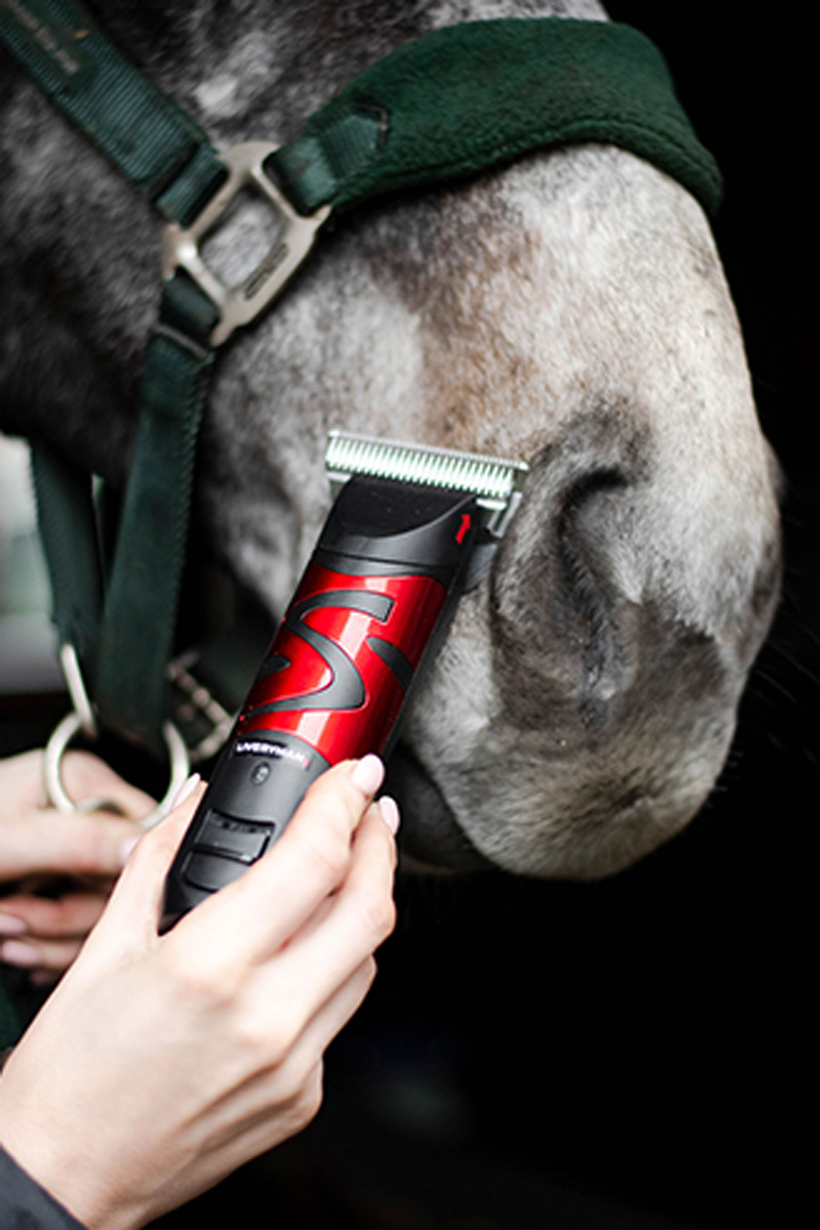 Liveryman Harmony Plus With Wide Fine Blade, 2.4 mm