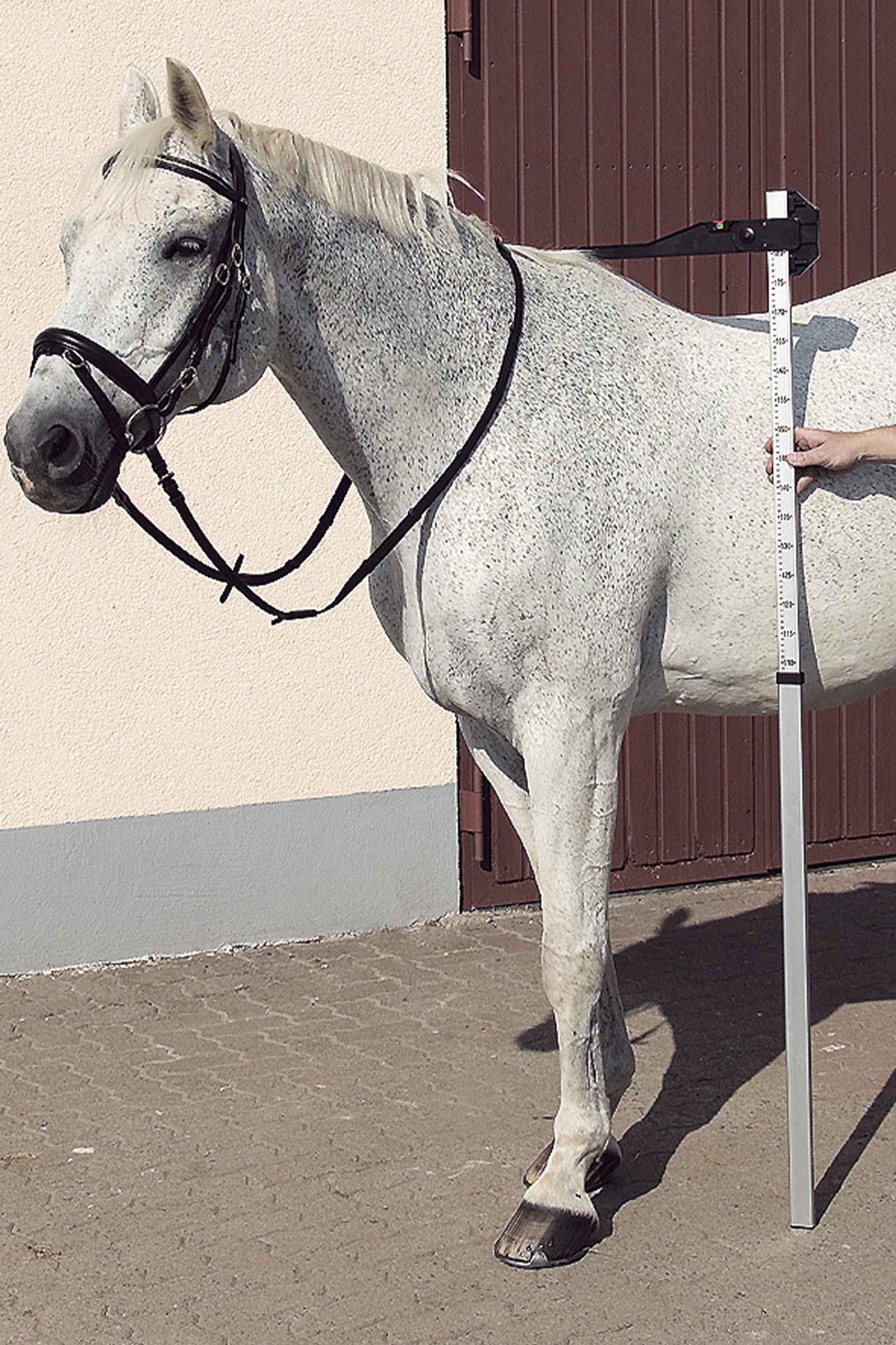 USG DLX Aluminium Measuring Pole