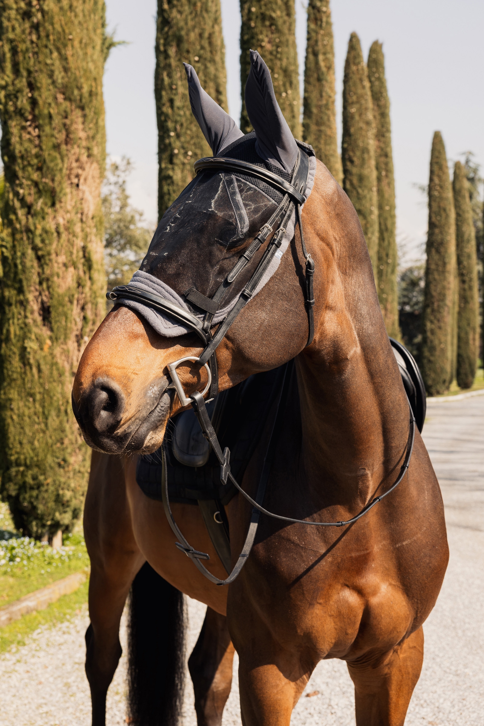 Horze Mountain Riding Fly Mask