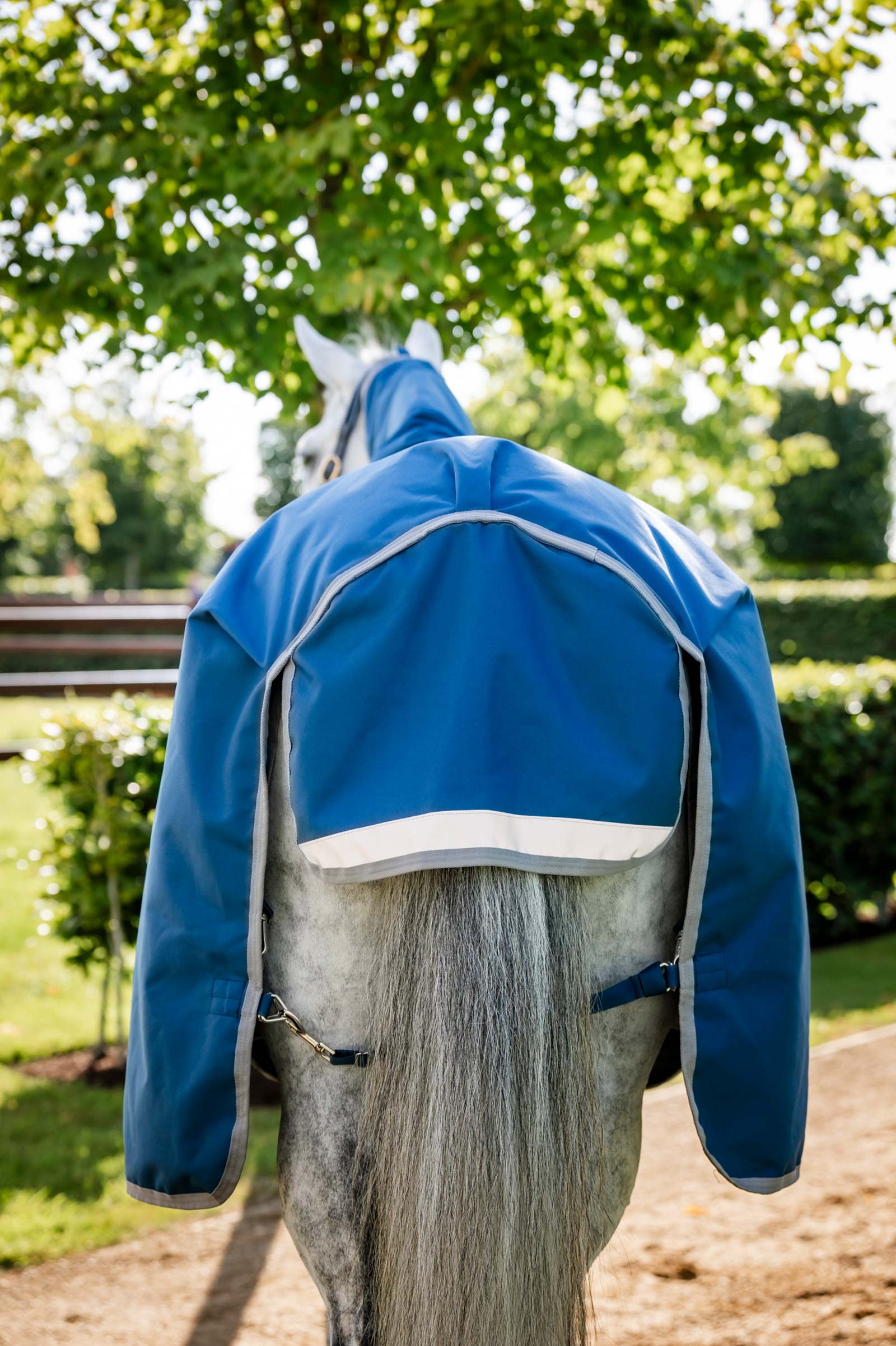 Horseware Ionic Therapy Turnout Rug, 100g