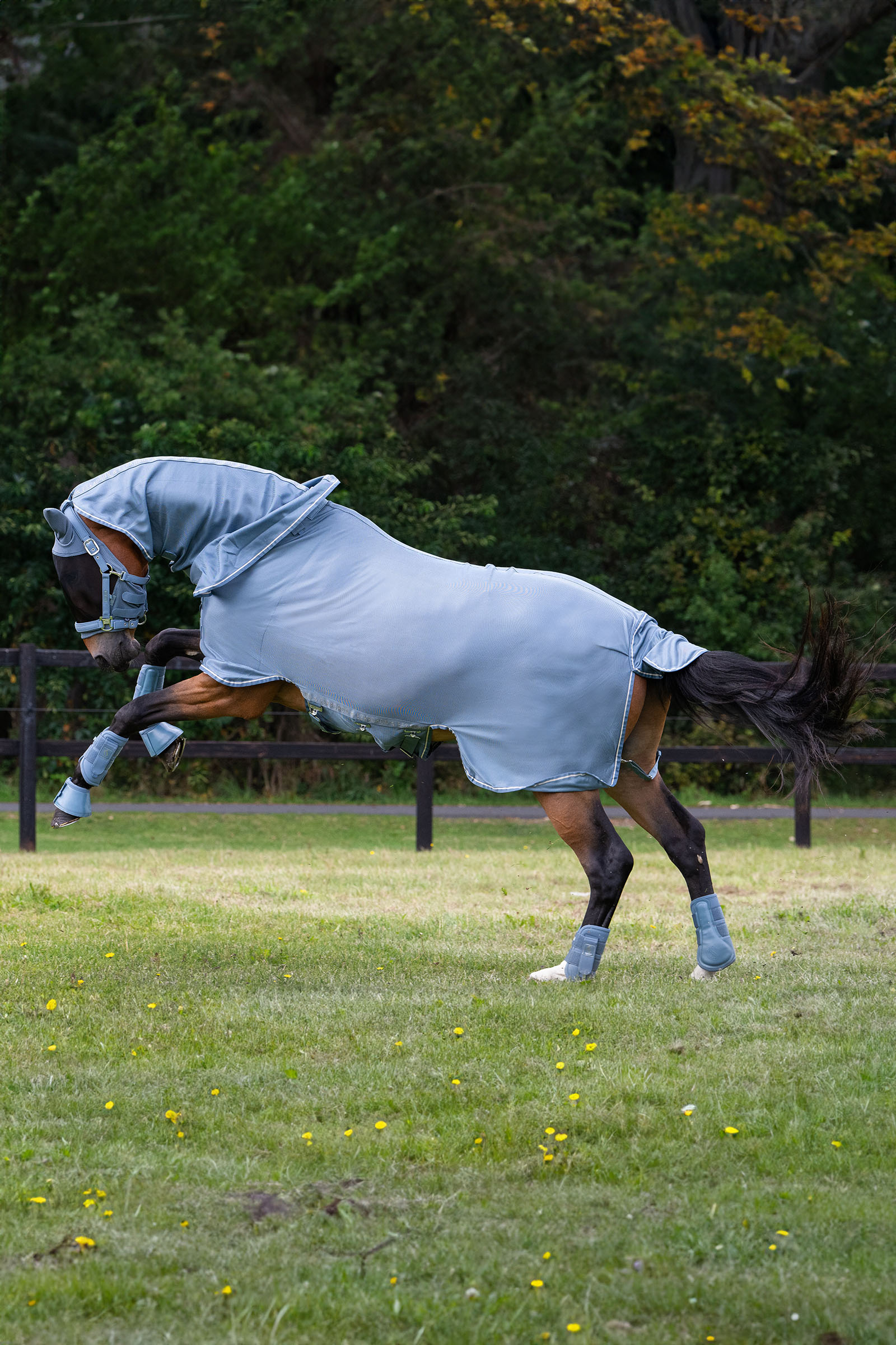 Eskadron Classic Sports SS25 Fly Detach-Neck Fly Rug