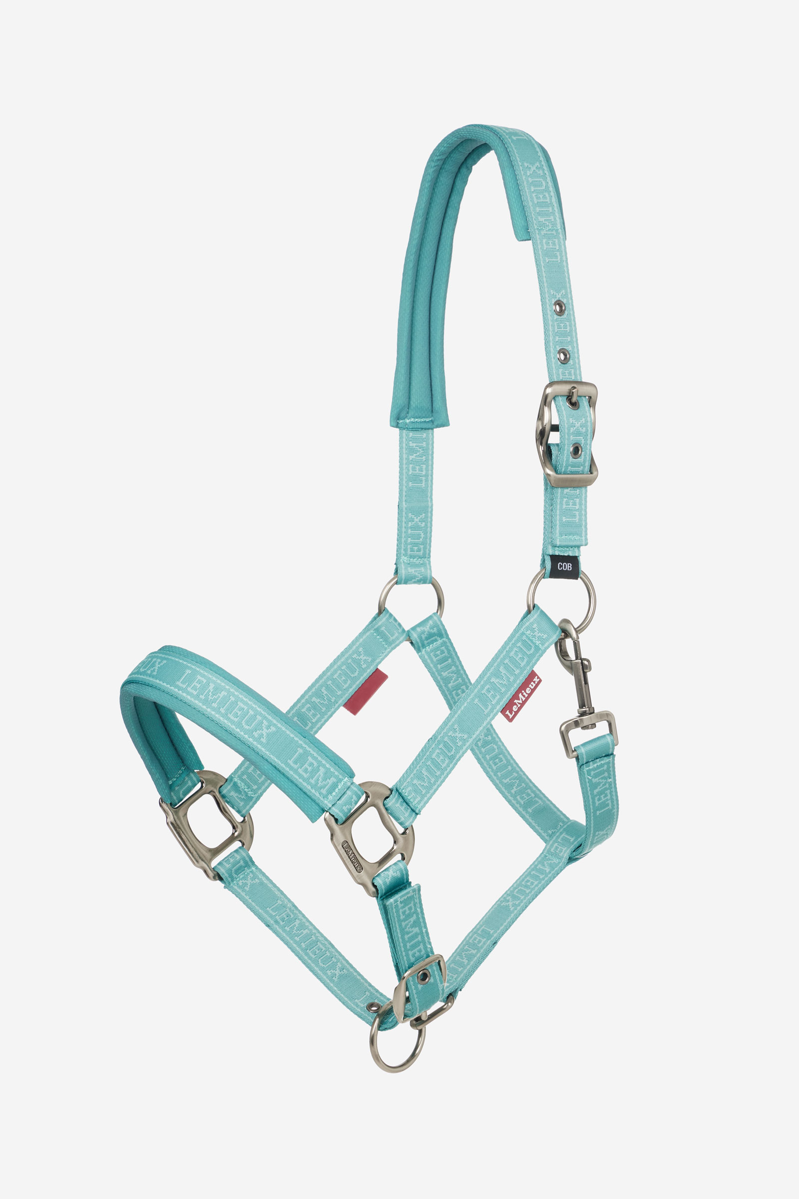 Lagoon LeMieux Logo Headcollar
