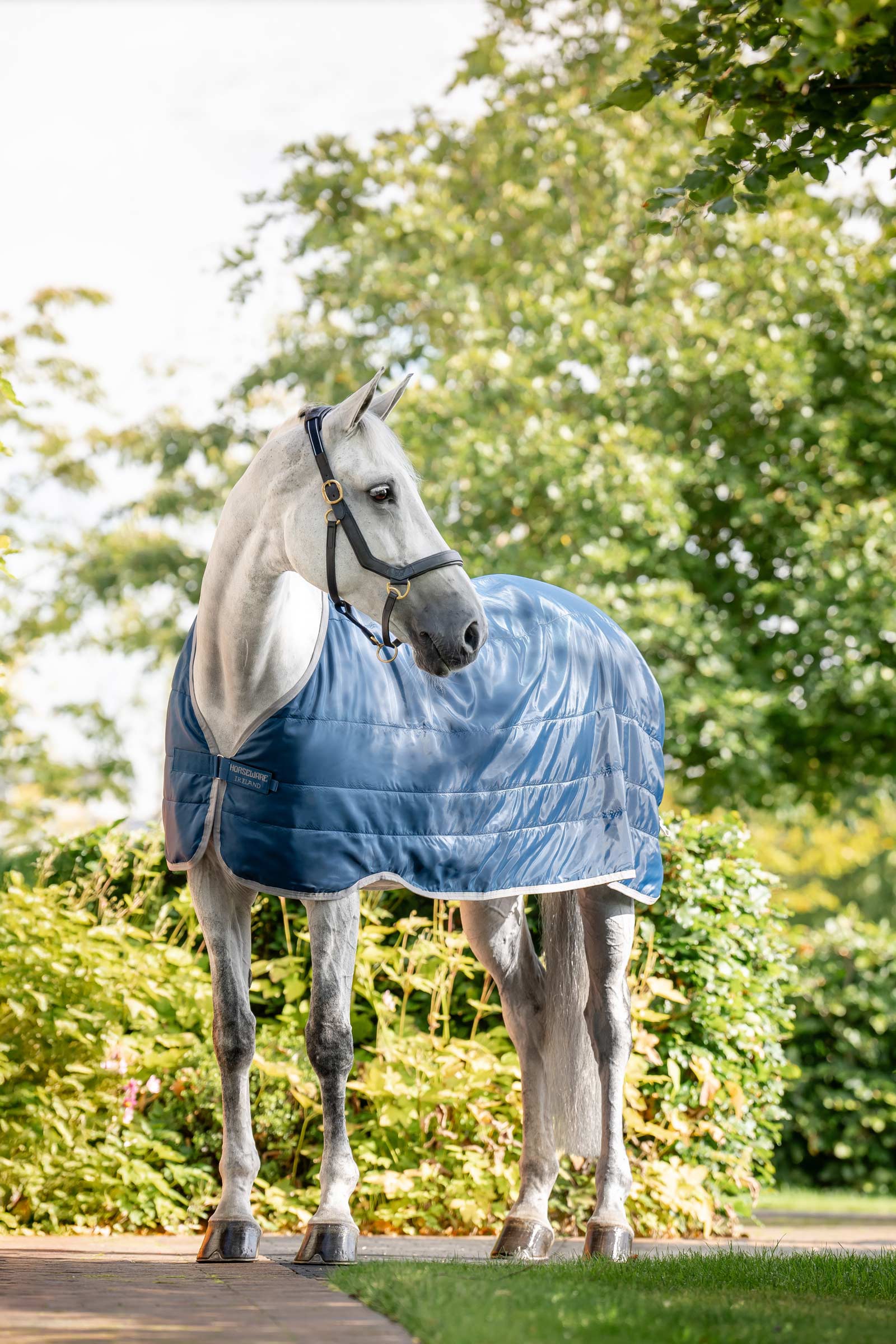 Horseware Ionic Therapy Liner 50g