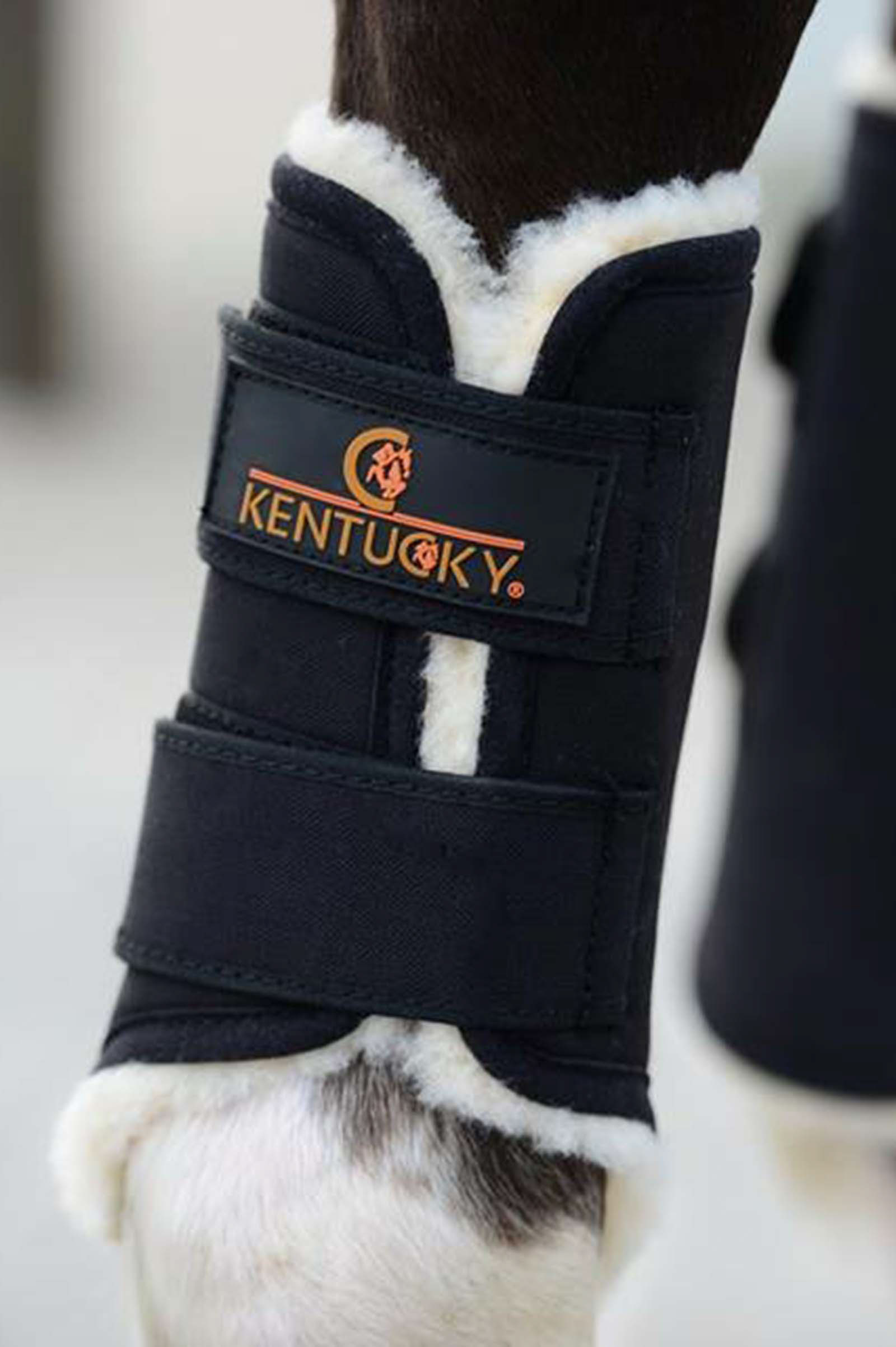 Kentucky Horsewear Solimbra Turnout Boots, Front