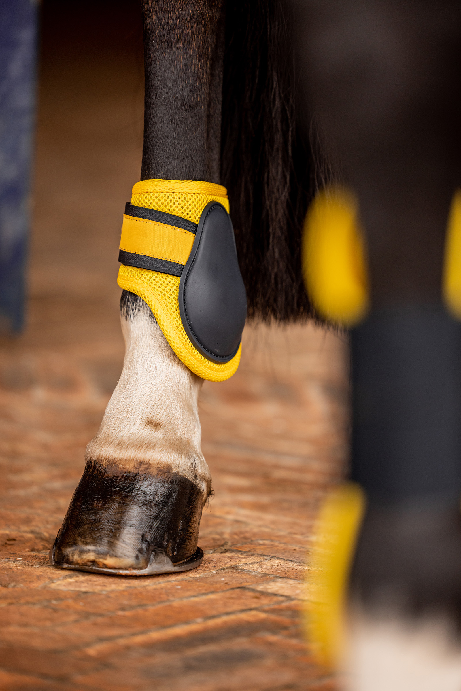 Horze Chicago 2.0 Fetlock Boots