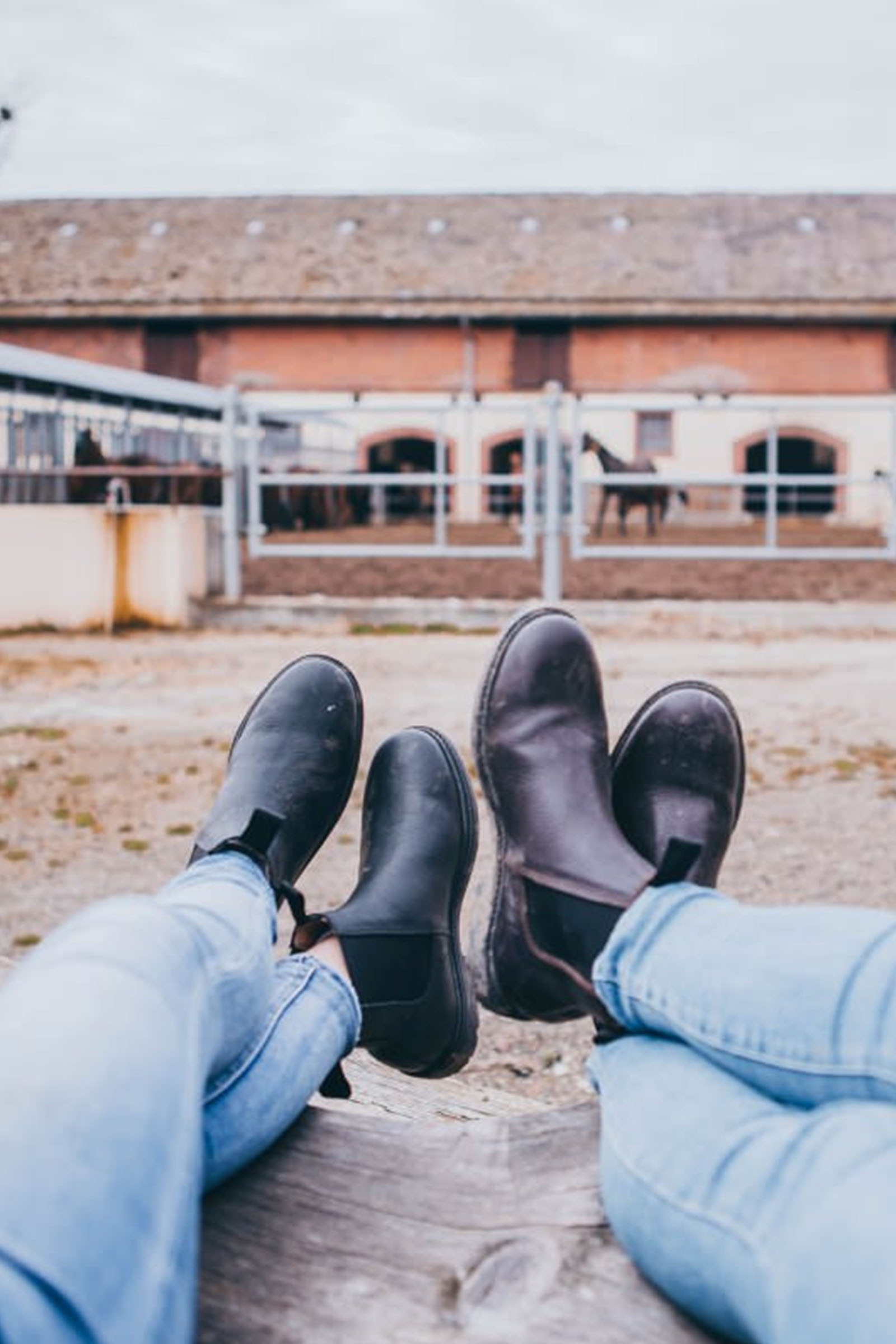 Suedwind Footwear 1888 Chelsea Jodhpur Boots