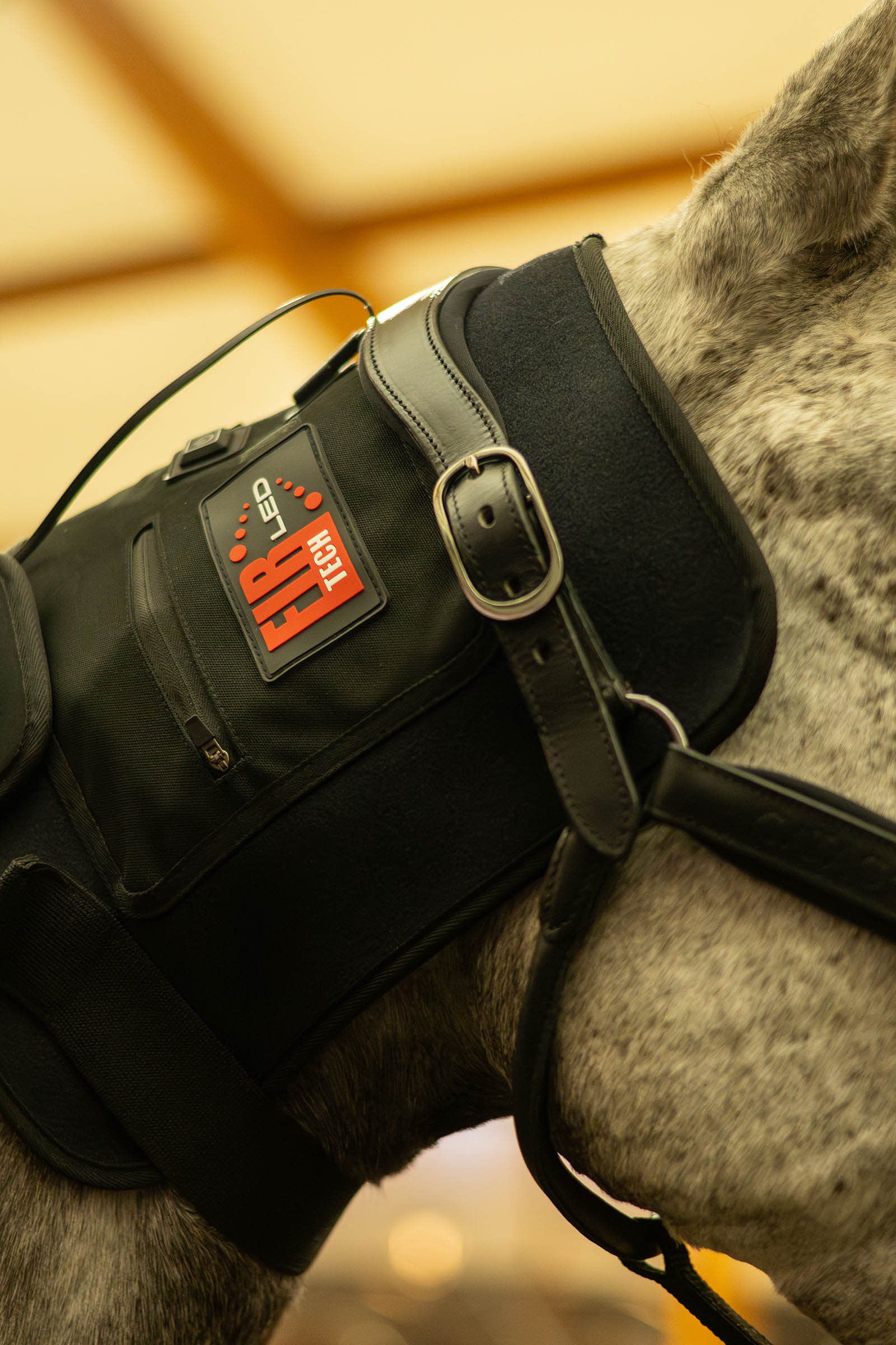 CATAGO FIR-Tech LED Therapy pad Q27