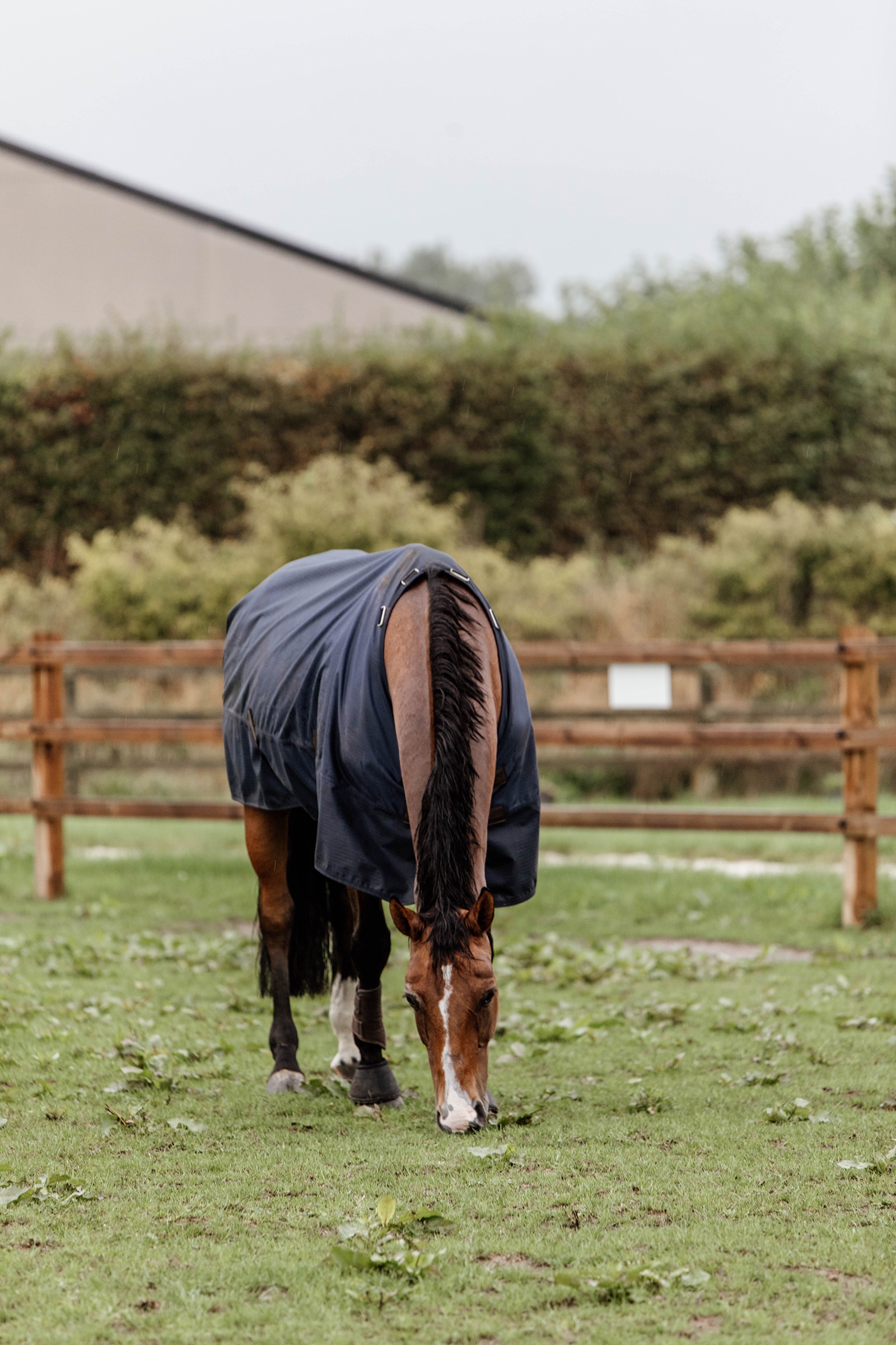 Kentucky Horsewear Turnout Rug All Weather, 300g